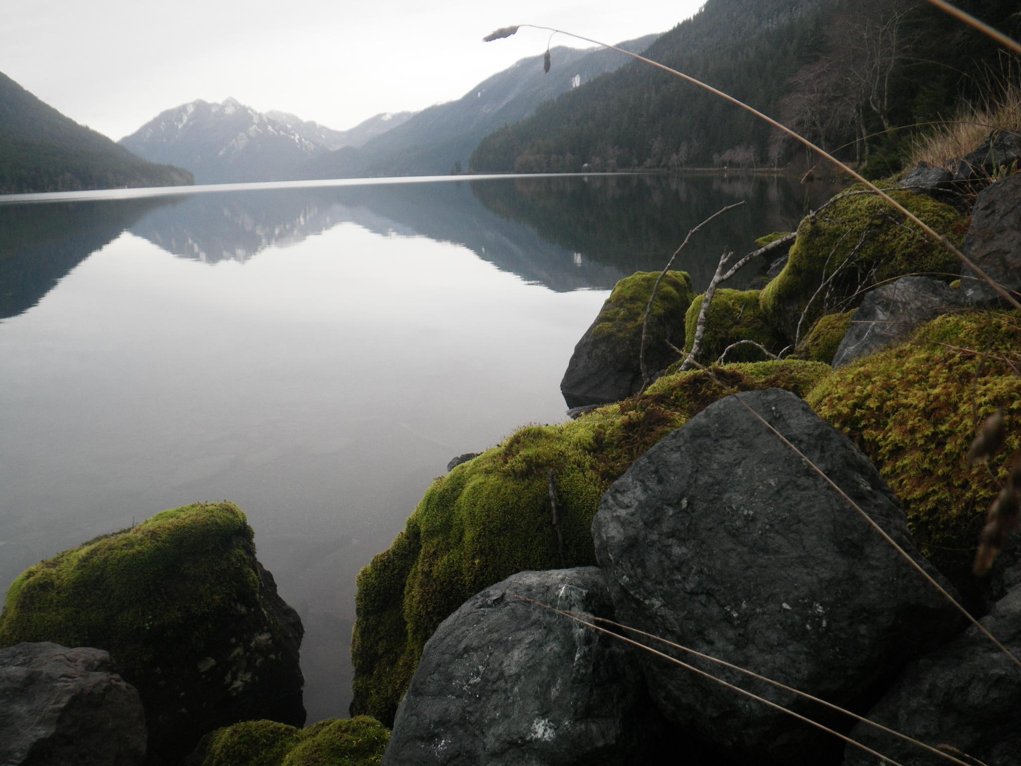 water, landscapes, 1080P, olympic peninsua, lake crescent, body, lk cresent, lakes in washing, lakes in wa, port angeles, treasures, hidden, HD Wallpaper
