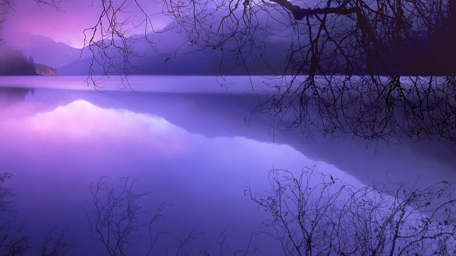 purple, 1080P, lakes, art, Landscapes, nature, park, crescent, national, hd, washington, HD Wallpaper