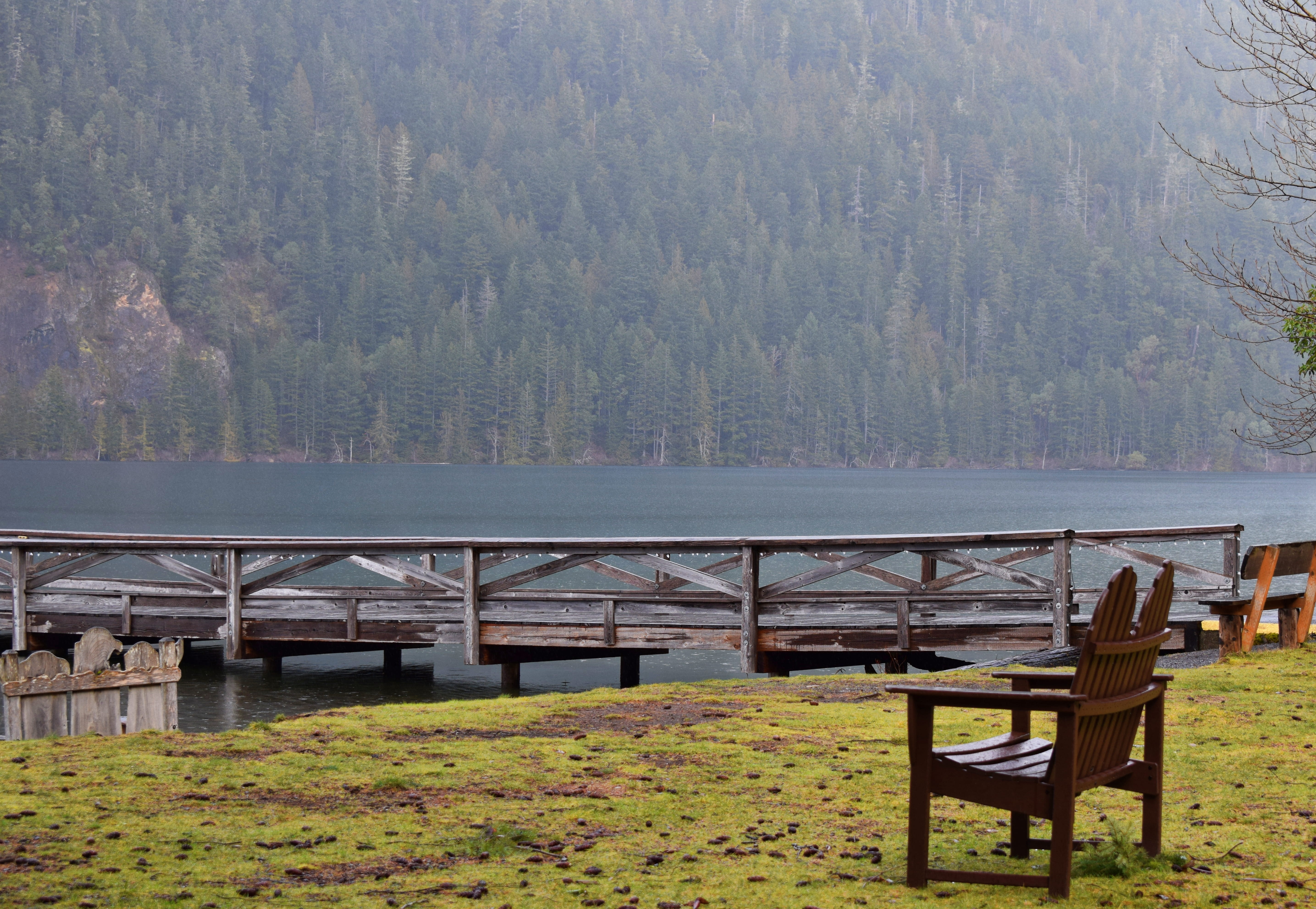 land, lake, nature, trees, mountain, non-urban scene, built structure, growth, 5K, green color, tranquil scene, architecture, pnw, united states, spring, HD Wallpaper