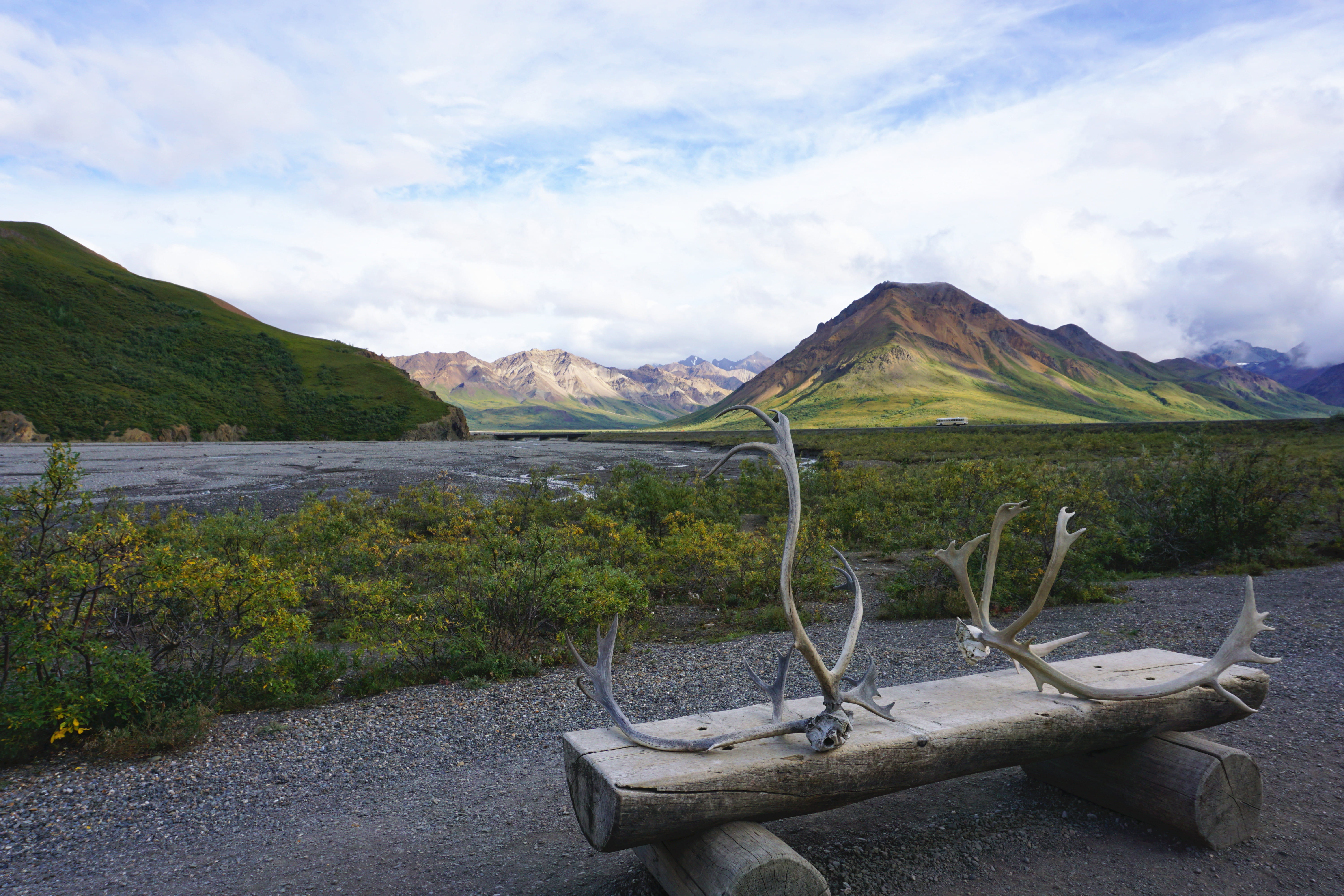 landscape, no people, nature, scenics - nature, denali national park, remote, beauty in nature, idyllic, united states, tree, cloud - sky, land, tranquil scene, HD Wallpaper