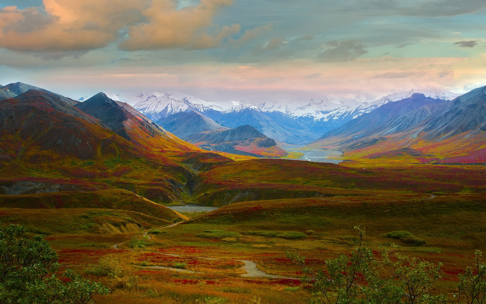 landscape, environment, hd, mountain range, park, no people, river, non-urban scene, brown, idyllic, denali, mountain peak, snowcapped mountain, tranquility, HD Wallpaper