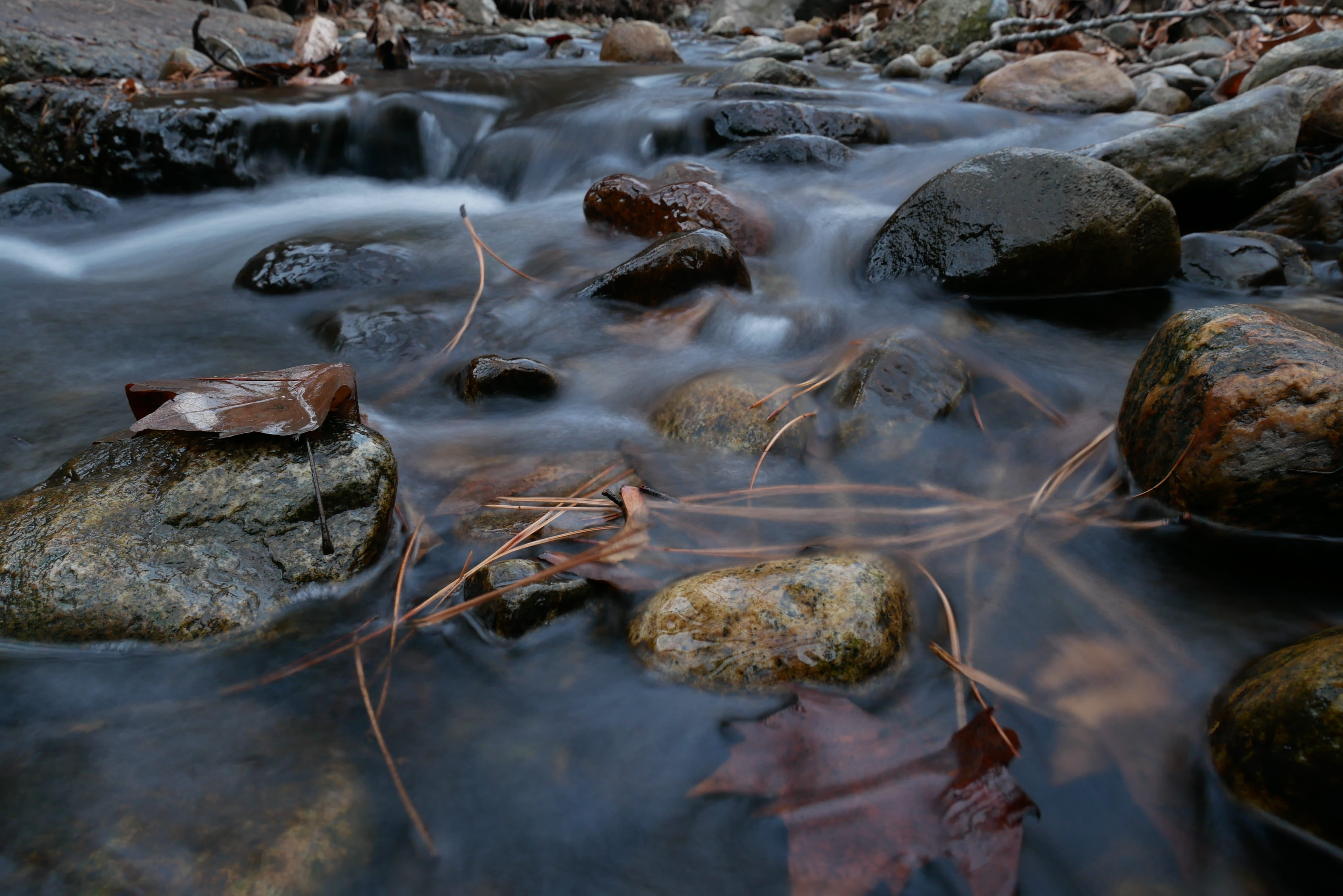 reflection, no people, tranquility, purity, outdoors, motion, solid, nature, flowing water, glisten, leaves, sea, flowing, water, fall, pollution, stream - flowing water, HD Wallpaper