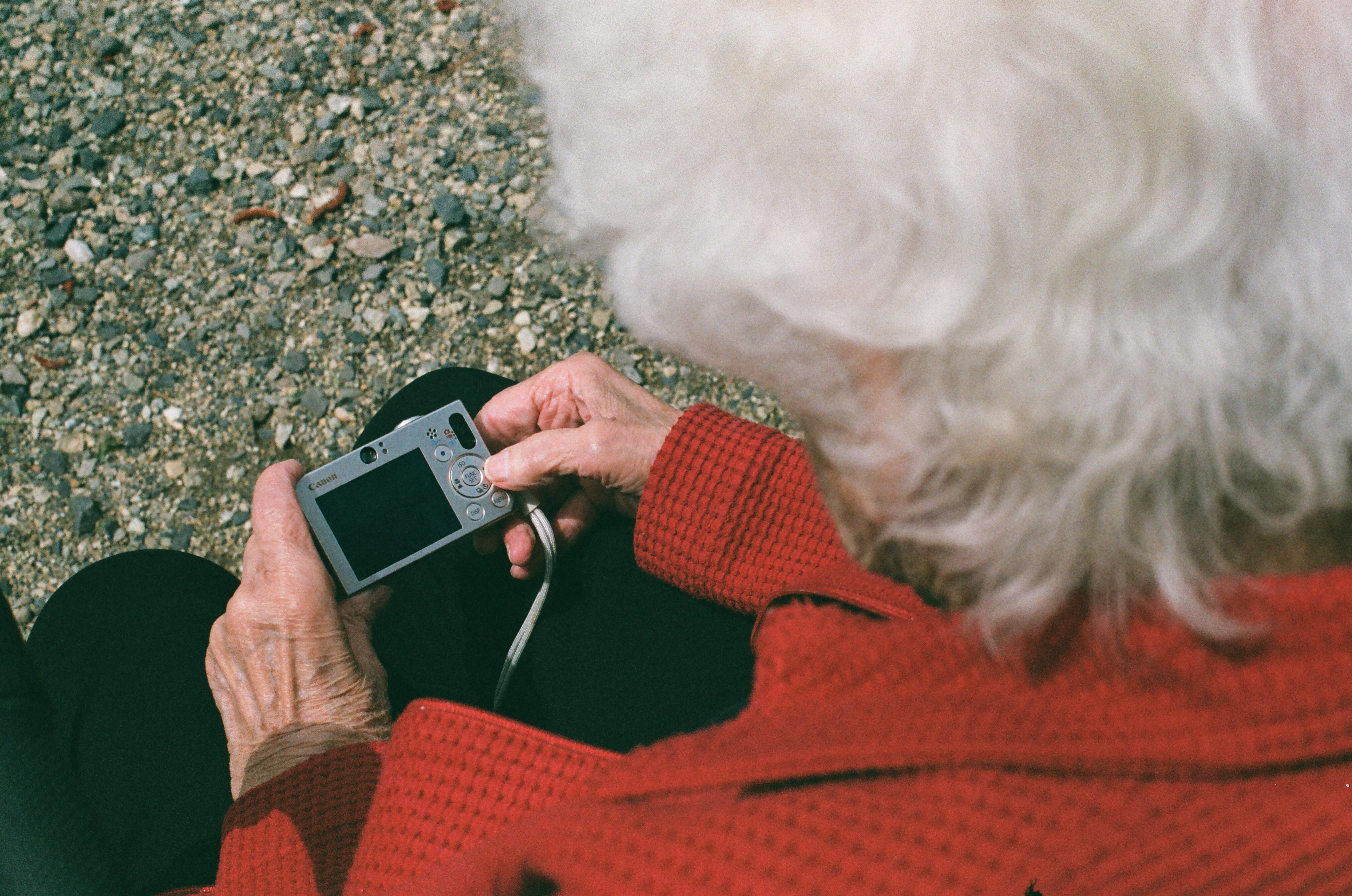 5K, smart phone, holding, gray hair, okanagan lavender and herb farm, portable information device, one person, human hand, wrinkes, outdoors, senior women, HD Wallpaper
