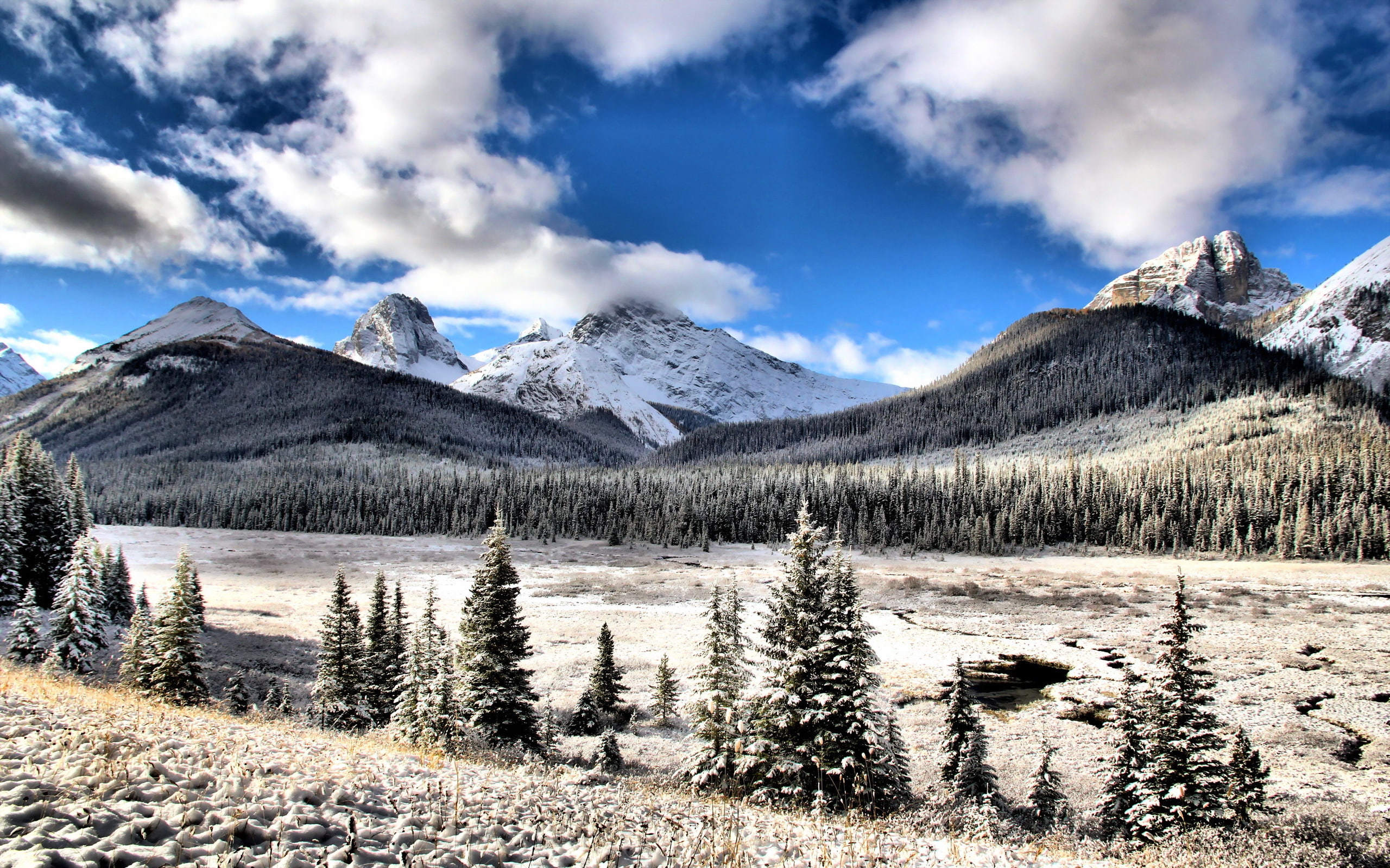 2K, snow, Alberta, Kananaskis, mountains, landscape, HD Wallpaper