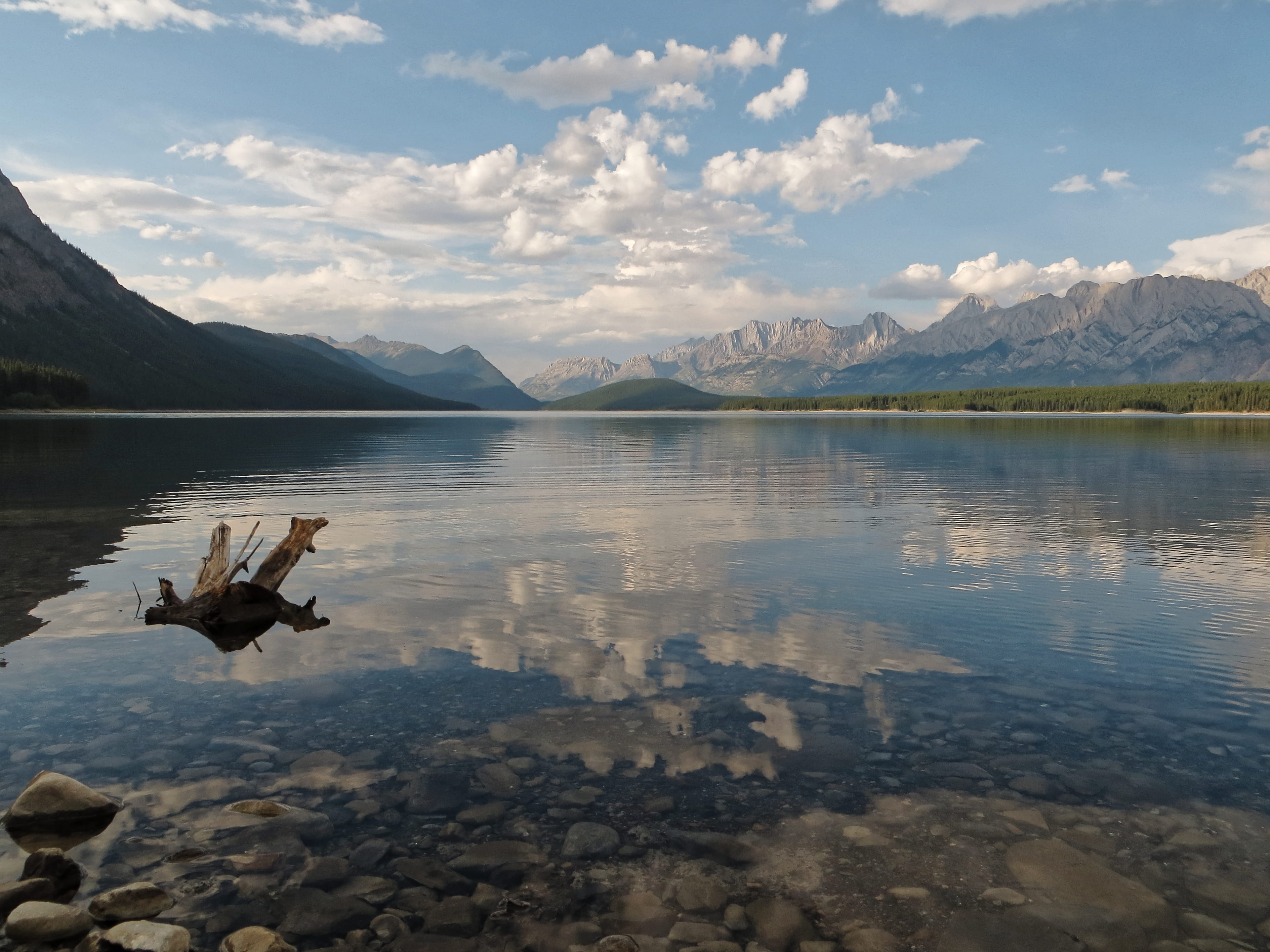 tranquility, animals in the wild, lake, scenics - nature, animal wildlife, tranquil scene, day, lake kananaskis, still, log, mountain, mountain range, alberta, HD Wallpaper