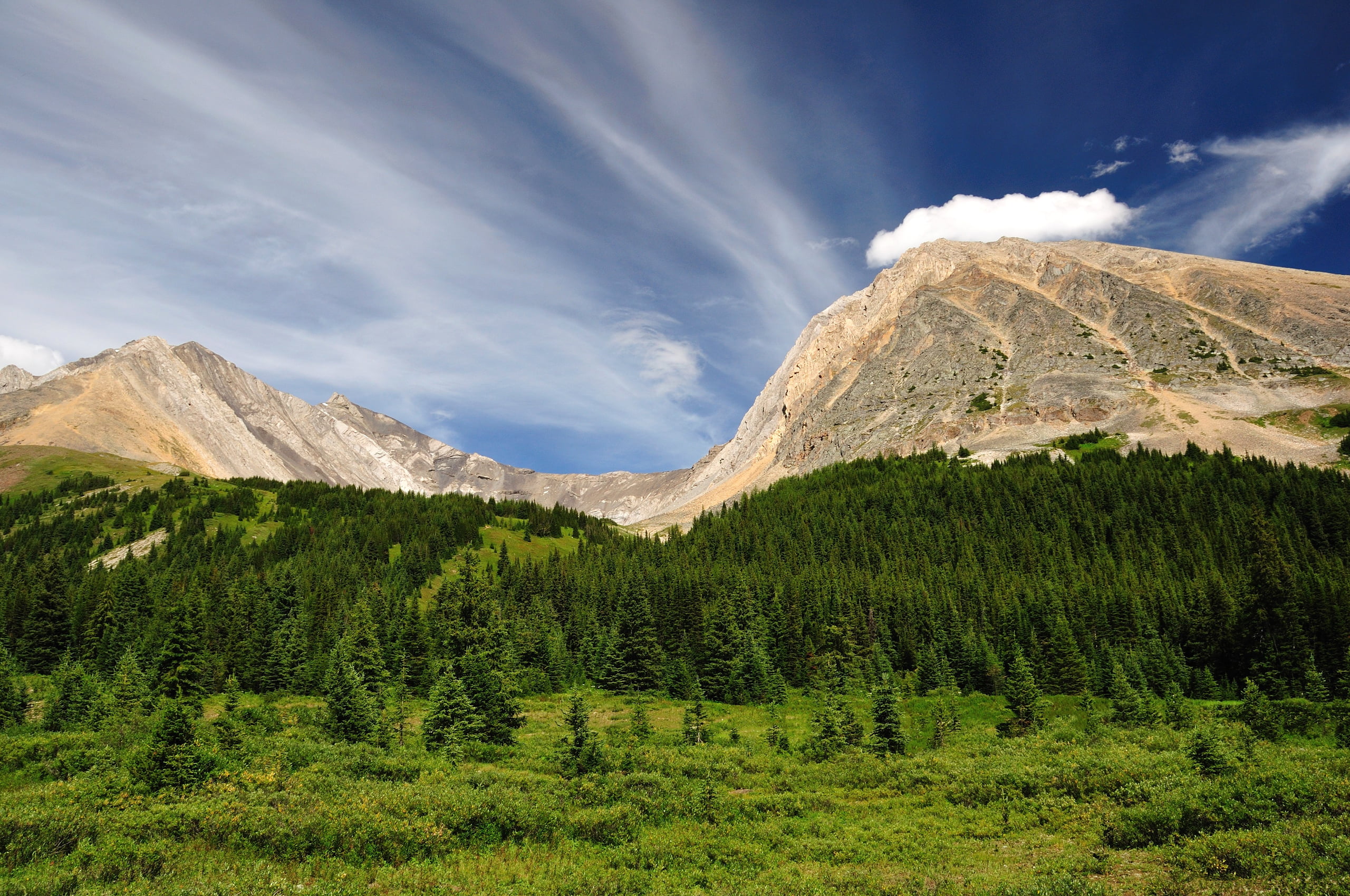 2K, the sky, forest, Alberta, Kananaskis, mountains, Canada, HD Wallpaper