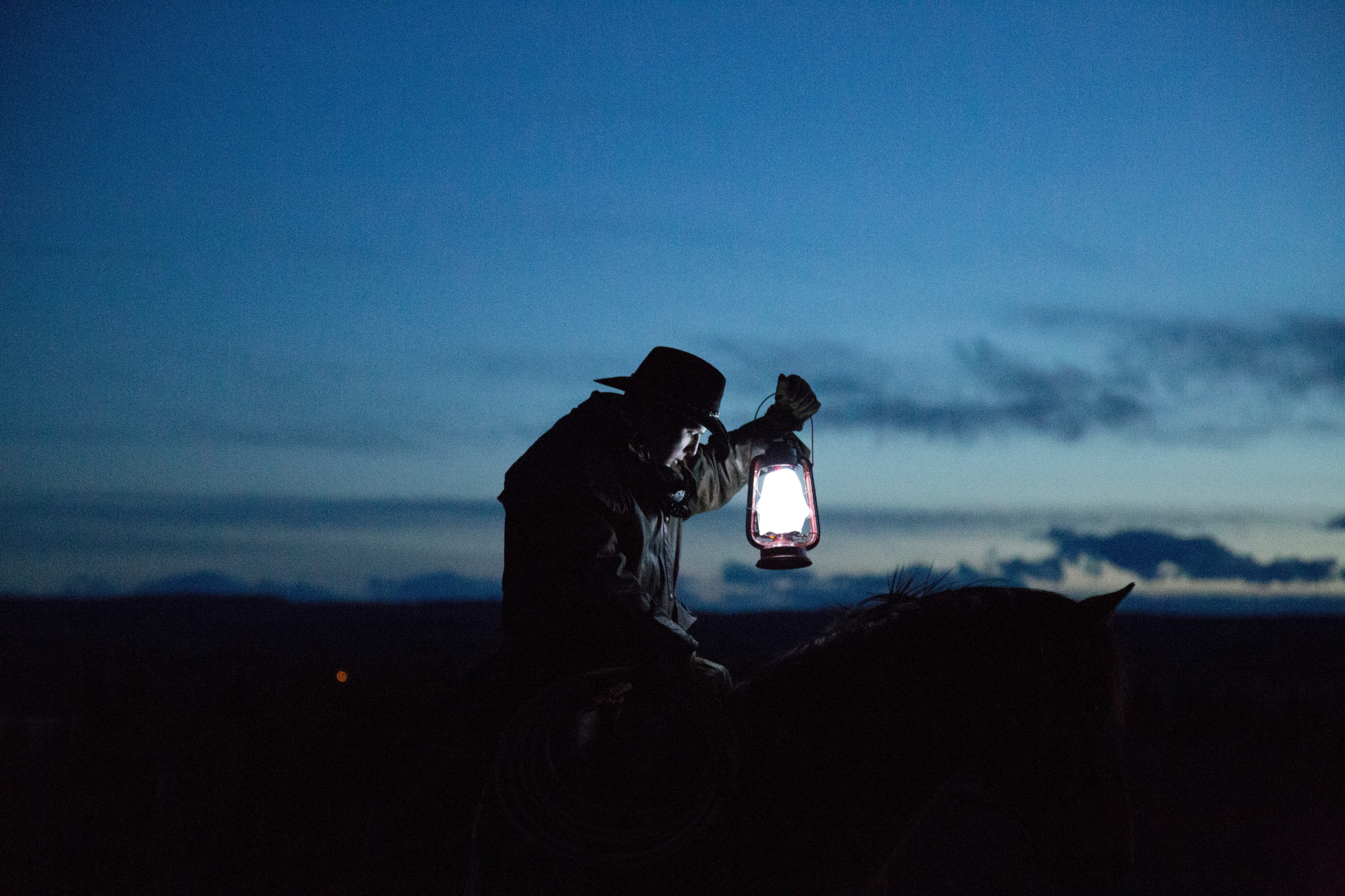 travel, person, photograph, real people, activity, lifestyles, animal, nature, dark, horse, technology, holding, dusk, one person, photographer, trip, people, HD Wallpaper