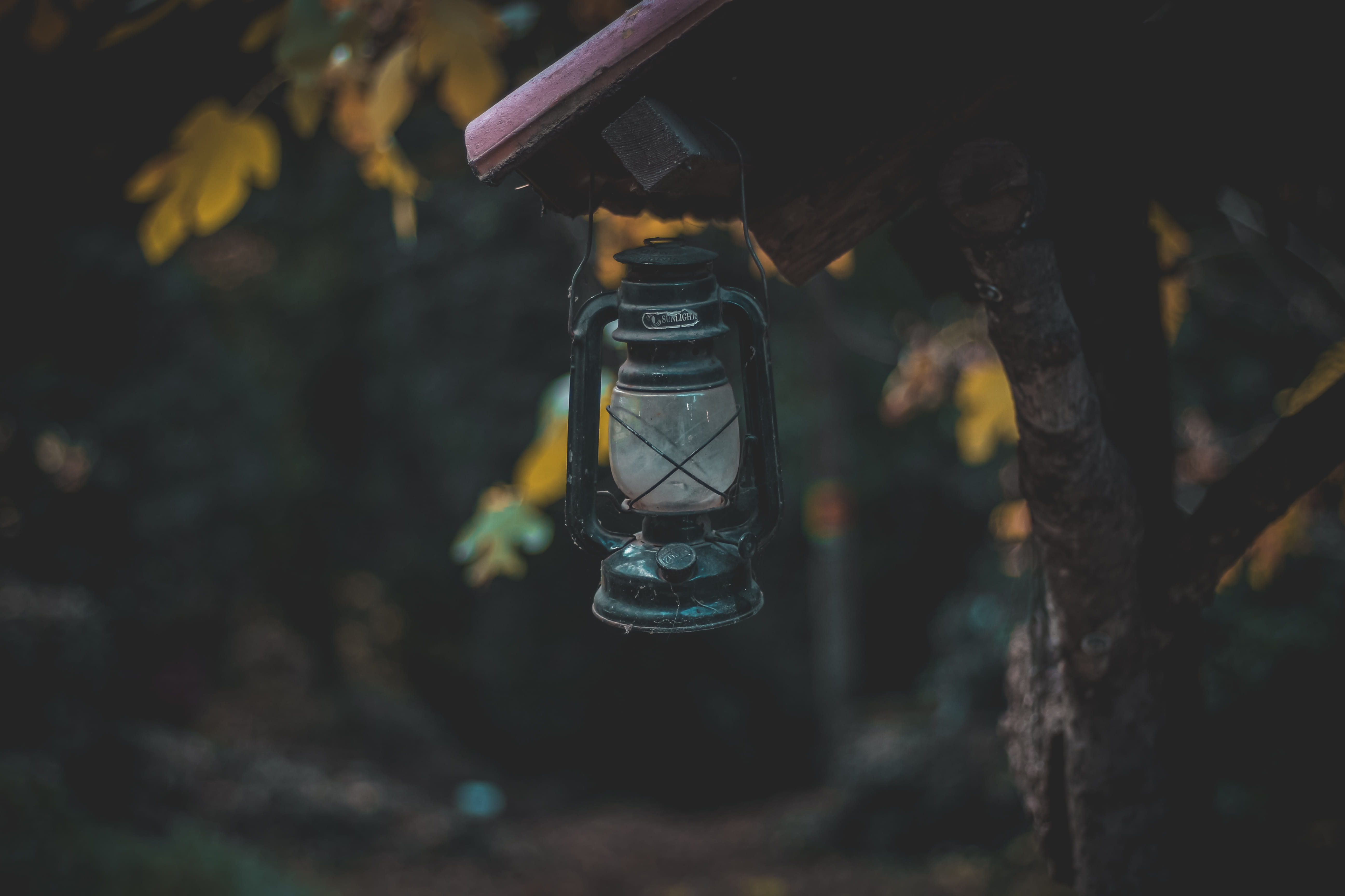 glass - material, day, illuminated, hanging, focus, garden decor, moody garden, autumnal, moody, human, decorative, selective, electric lamp, fire, light, HD Wallpaper