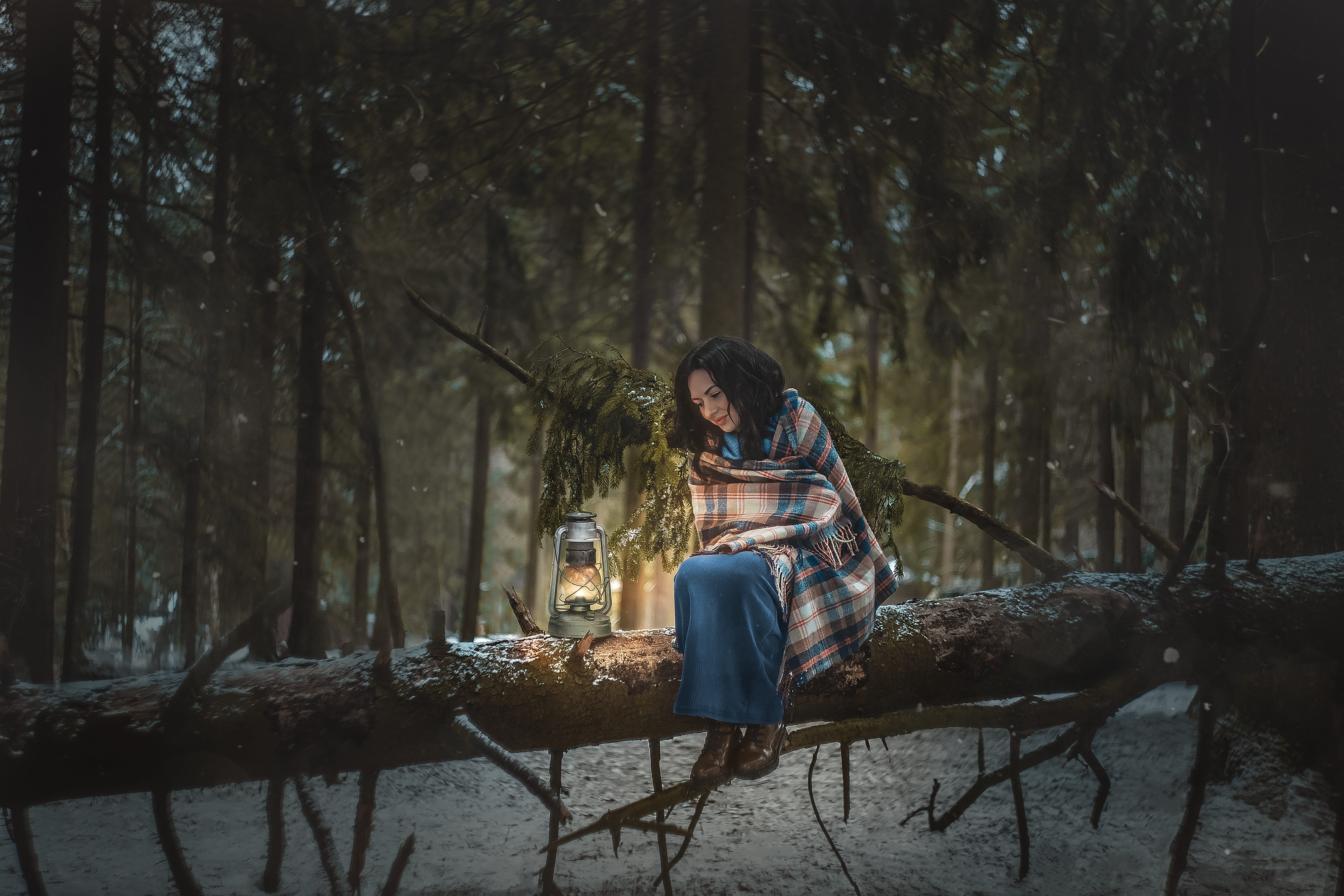 beauty, young women, land, winter, lamp, casual clothing, woodland, lifestyles, sitting, tree trunk, outdoors, tales, hairstyle, full length, girl, light, HD Wallpaper
