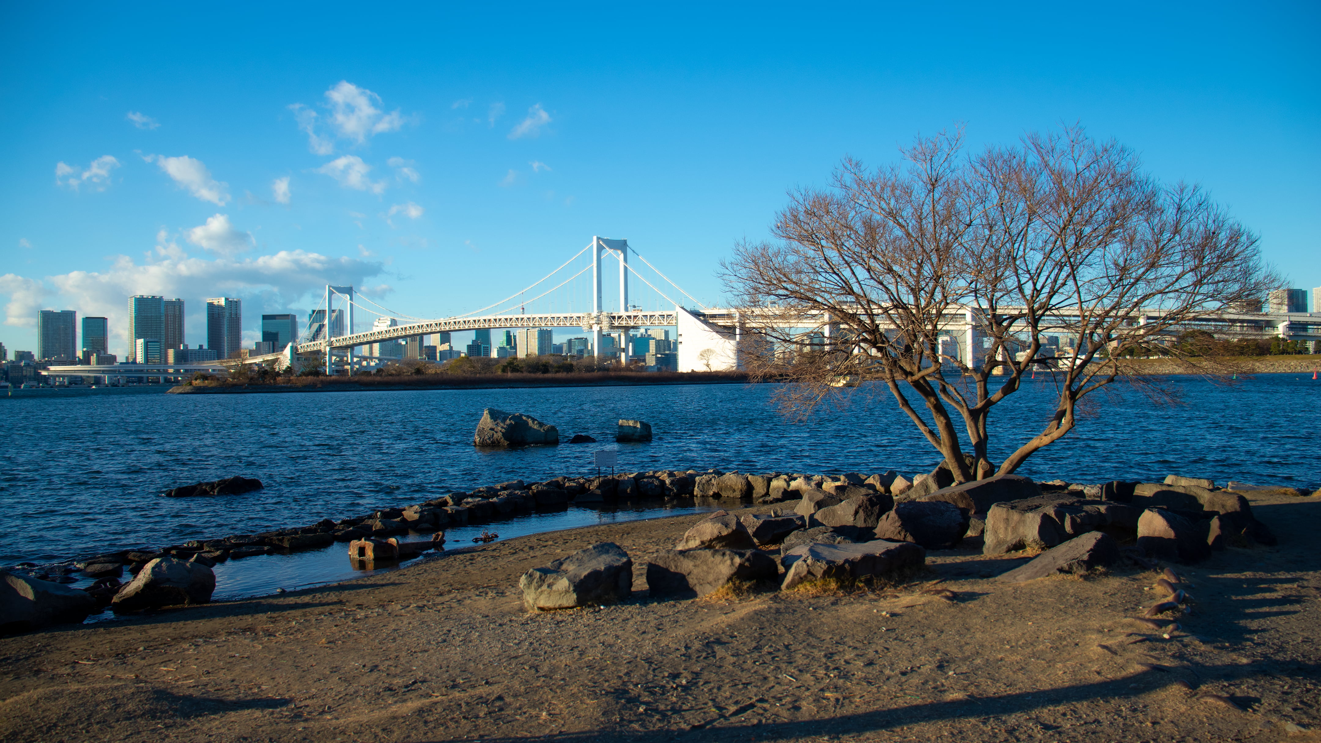 odaiba, trees, Rainbow Bridge, 4K, Tokyo, beach, rocks, Japan, HD Wallpaper