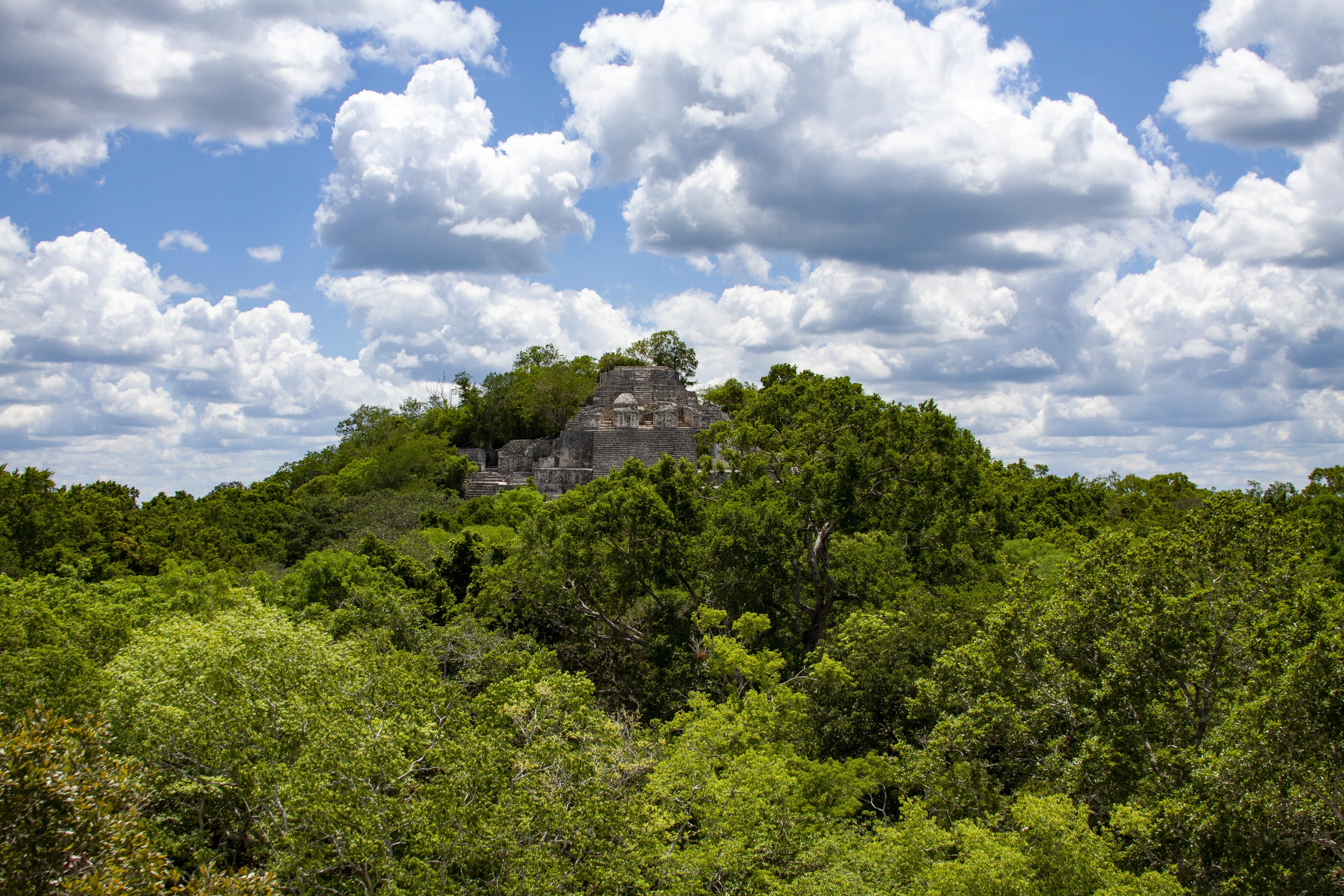beauty in nature, travel destinations, history, outdoors, archaeology, scenics - nature, tranquility, nature, green color, sky, mexico, forest, plant, clouds, HD Wallpaper
