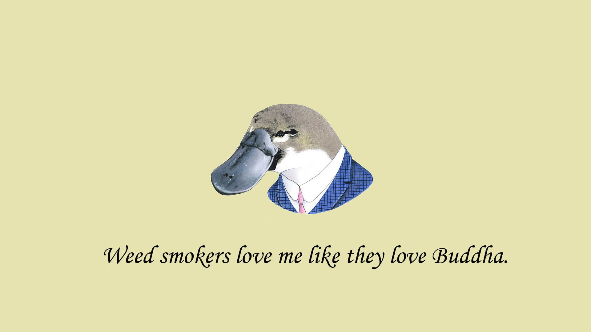 digital art, vertebrate, copy space, white background, love, humor, quote, smokes, studio shot, weed, western script, yellow, colored background, directly above, HD Wallpaper