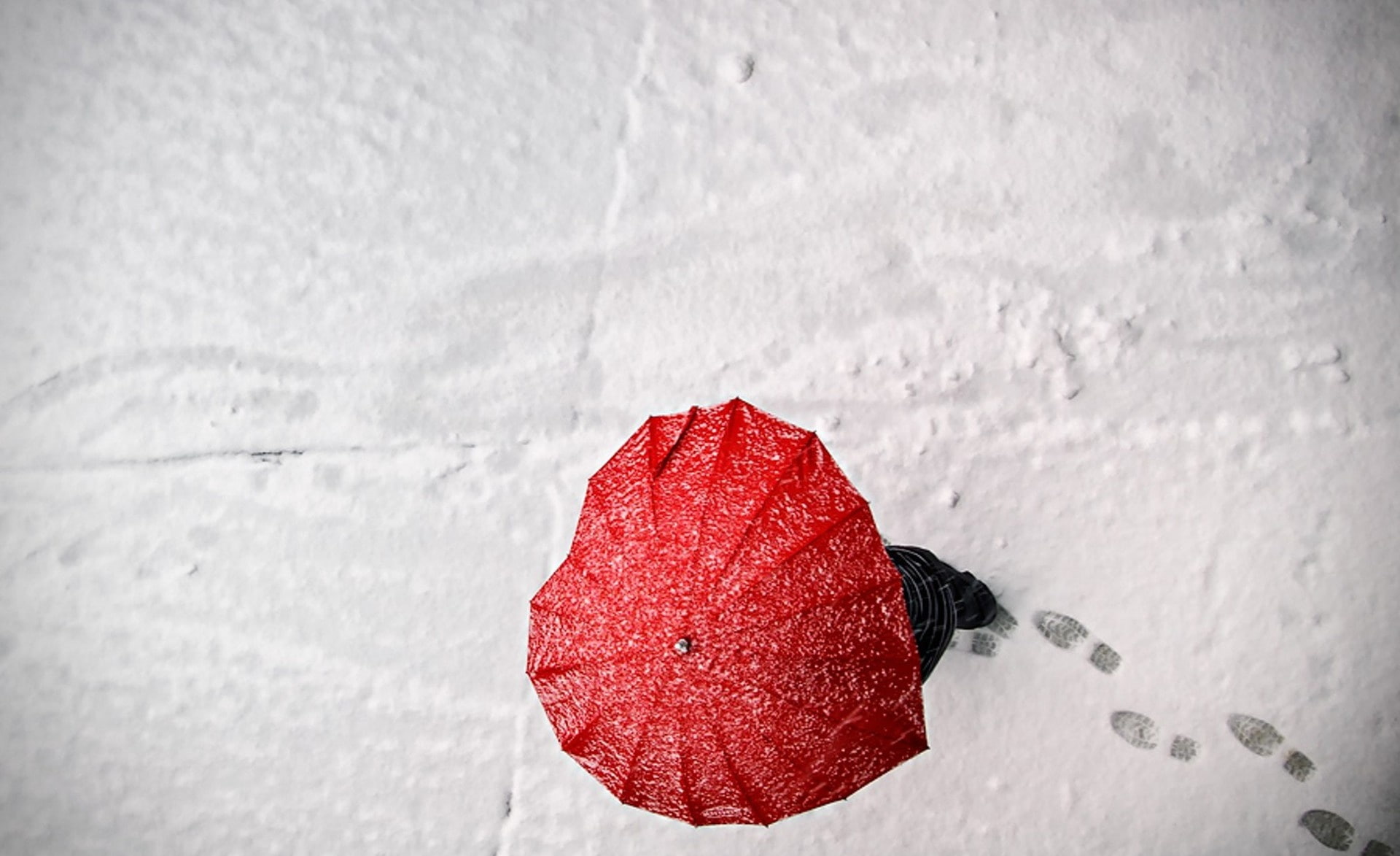 red, food and drink, cold temperature, freshness, winter, 1080P, Valentines Day, close-up, umbrella, ripe, no people, outdoors, flower, beauty in nature, HD Wallpaper