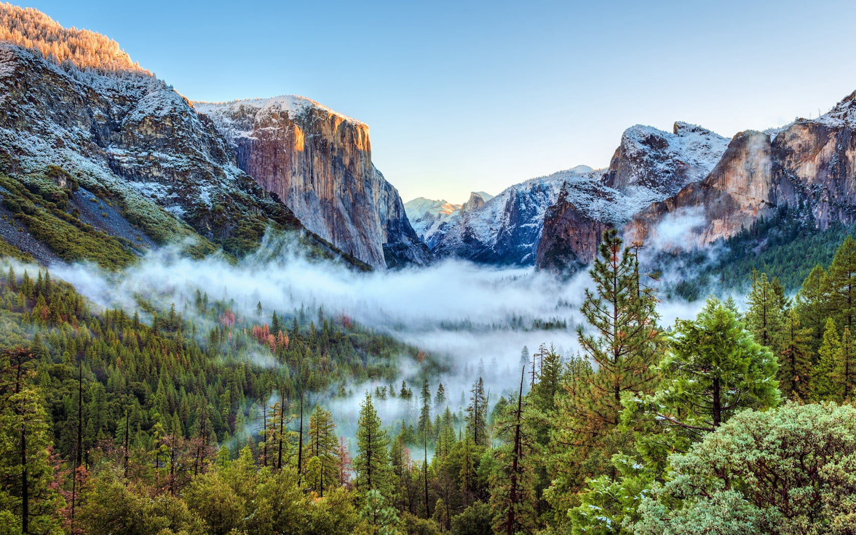 pine, trees, yosemite national park, coated, environment, snow, idyllic, green, woodland, sky, nature, mountain, usa, water, lake, landscape, vacations, HD Wallpaper