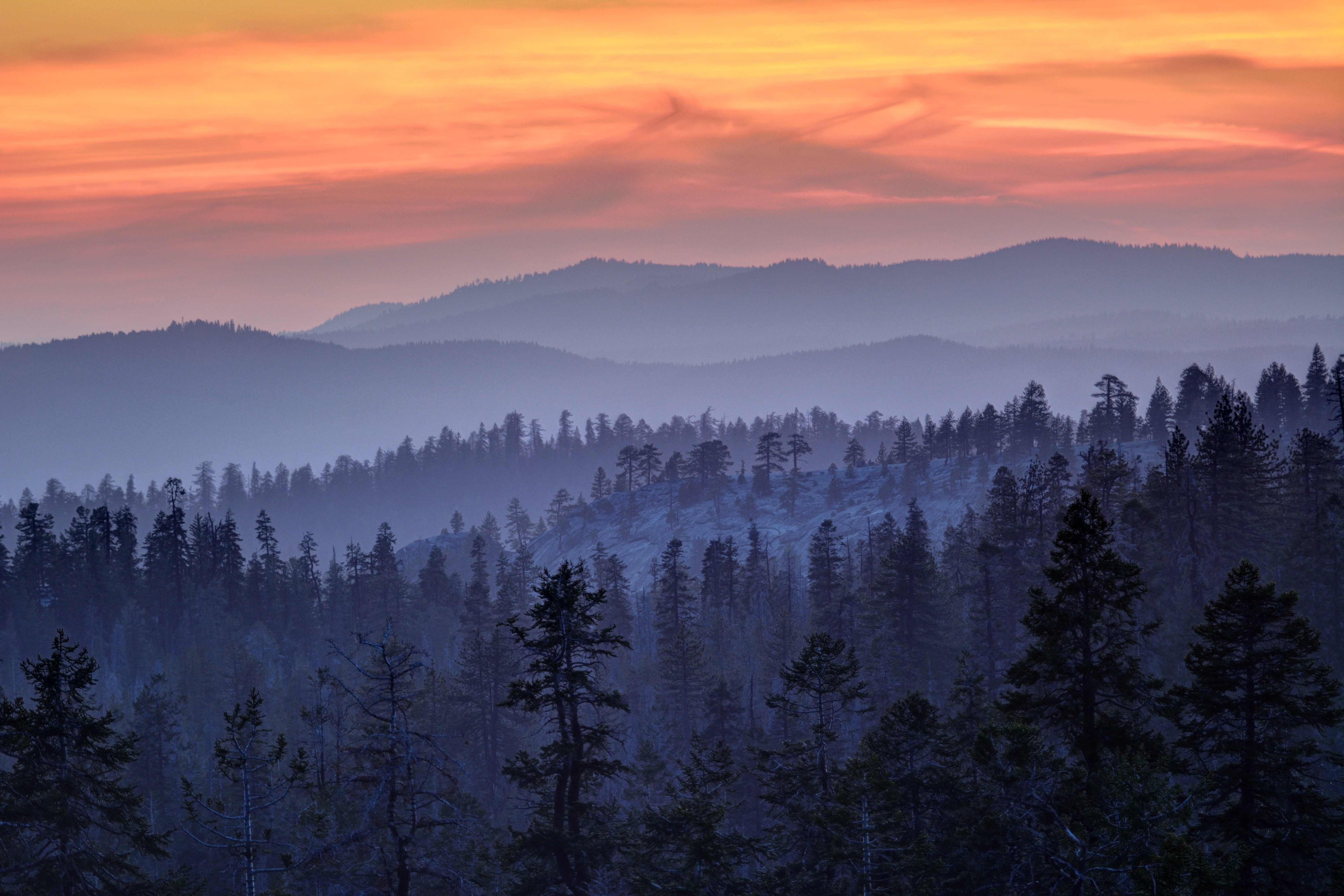 Sky, 5K, Tree, Forest, Sun, outdoors, Nature, aerial photography, scenics, Cloud, Sunset, photography, mountain, aerial, sunrise, Landscape, HD Wallpaper