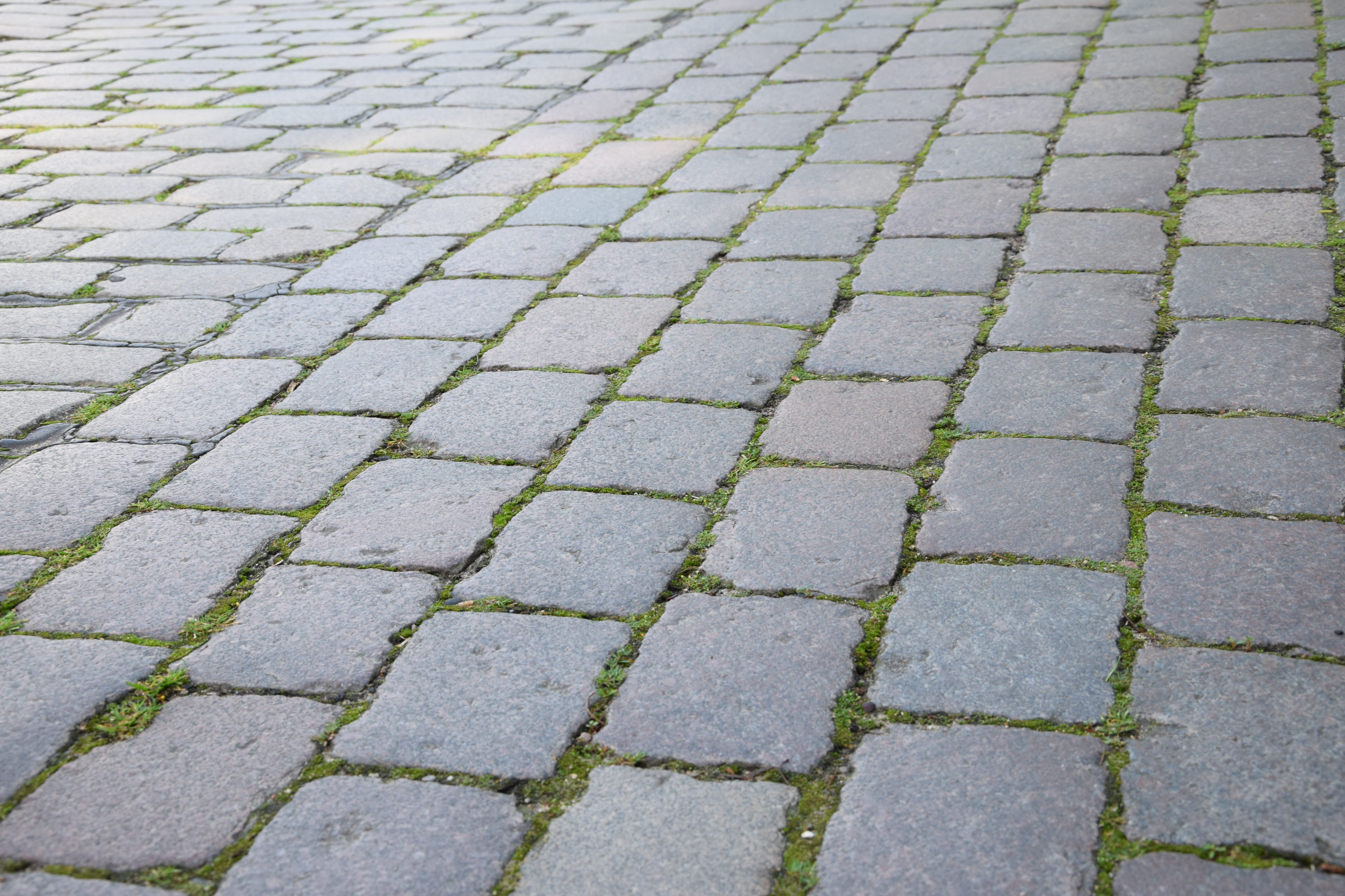 surface level, design, stumbling stone, pavement, stones, cobblestones, paved, joints, footpath, background, away, backgrounds, stone floor, no people, HD Wallpaper