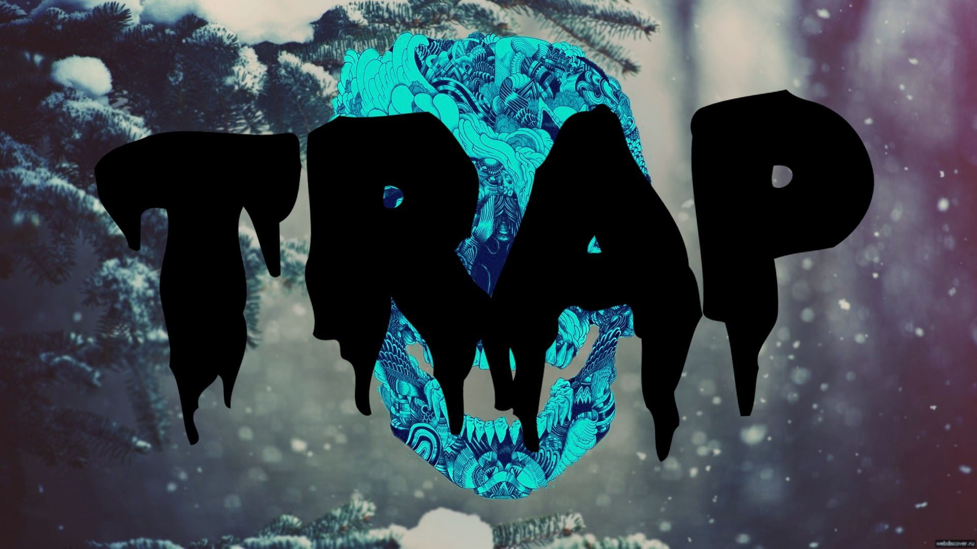 EDM, 1080P, Trap Nation, HD Wallpaper