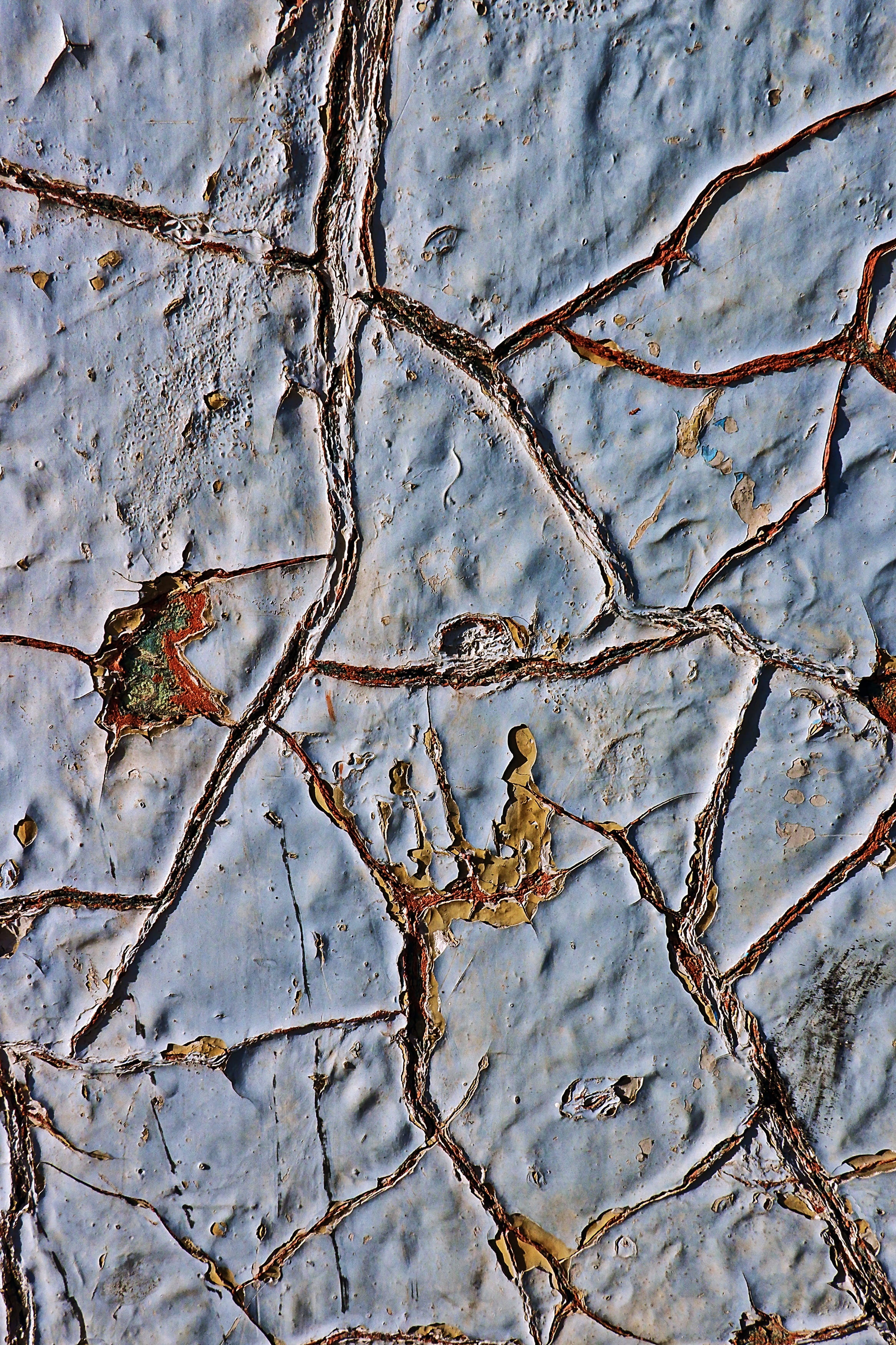 plant, texture, textured, tranquility, 2K, beauty in nature, tar, ice, sand, dry, tree, scenery, soil, day, hole, tree trunk, ground, close-up, aluminium, Phone HD Wallpaper