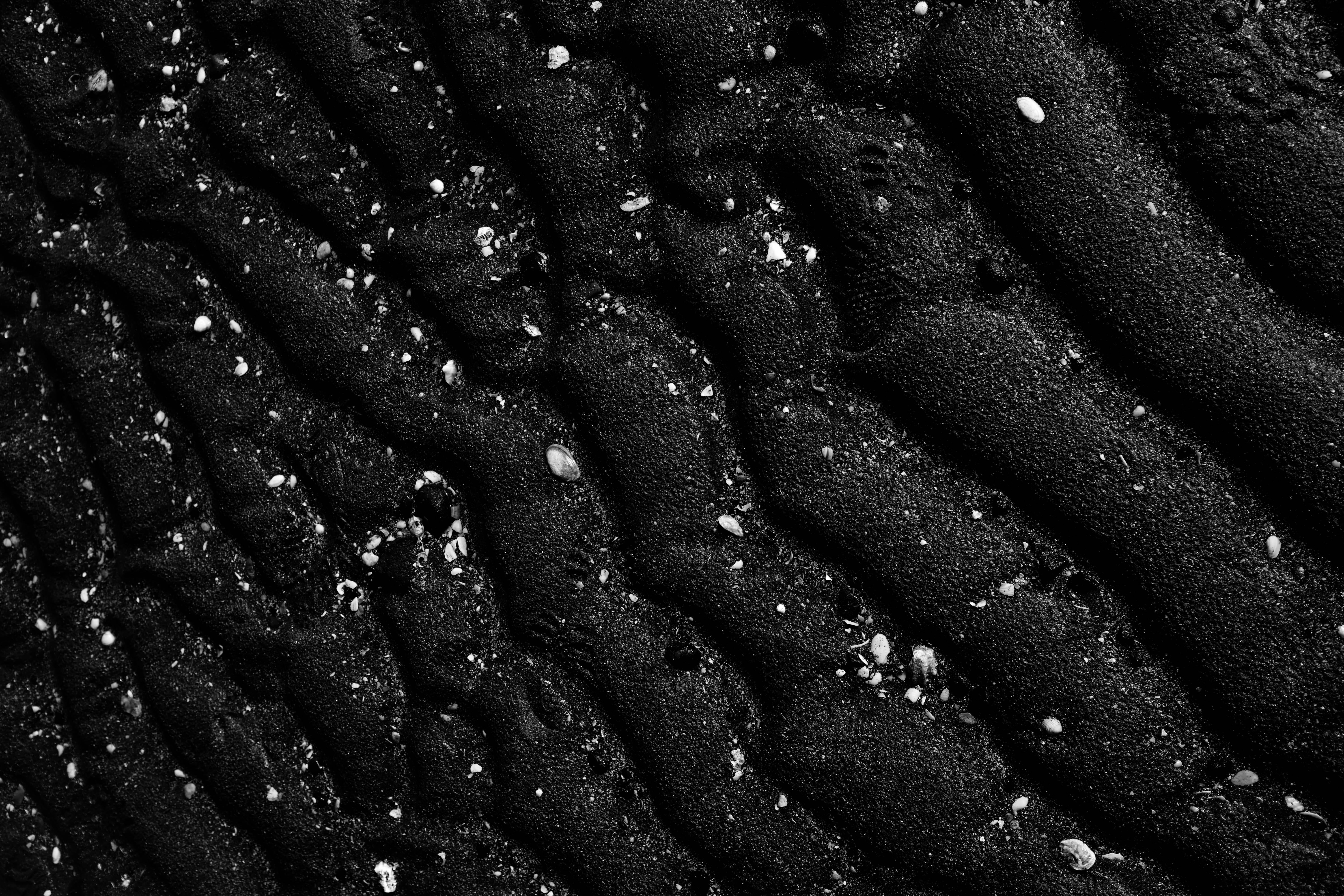 pattern, high angle view, animal, still life, textile, coal, rock, temptation, close-up, 5K, black color, seasoning, sesame, black, textured, ground, floral, HD Wallpaper