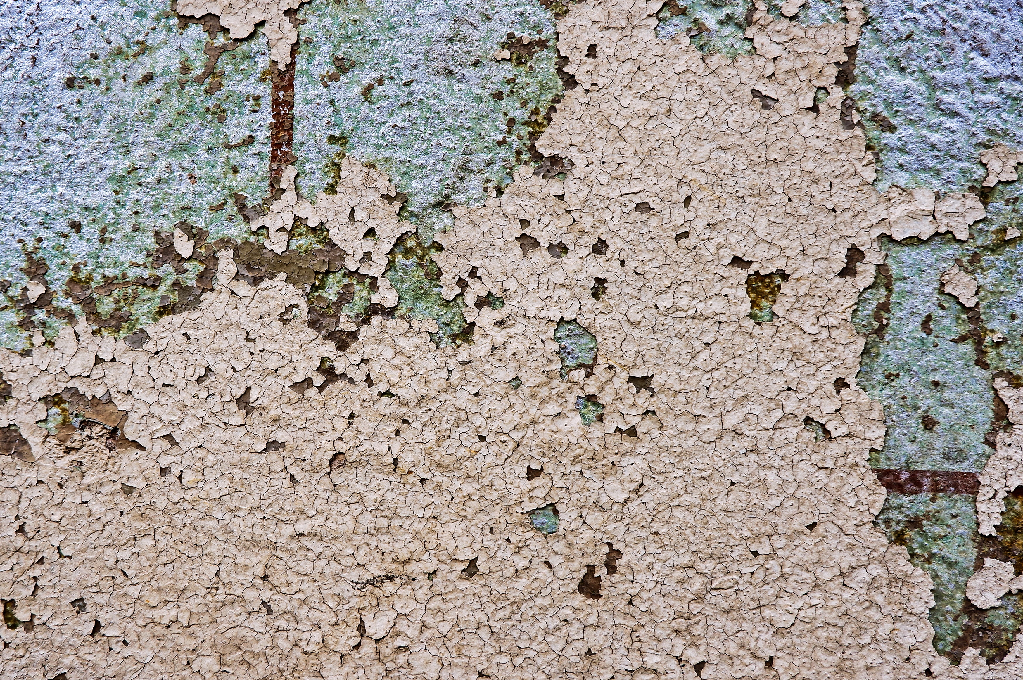 built structure, dirt road, peeled, invertebrate, tar, ground, soil, cricket insect, concrete, rock, weathered, nature, deterioration, damaged, mud, scenery, HD Wallpaper