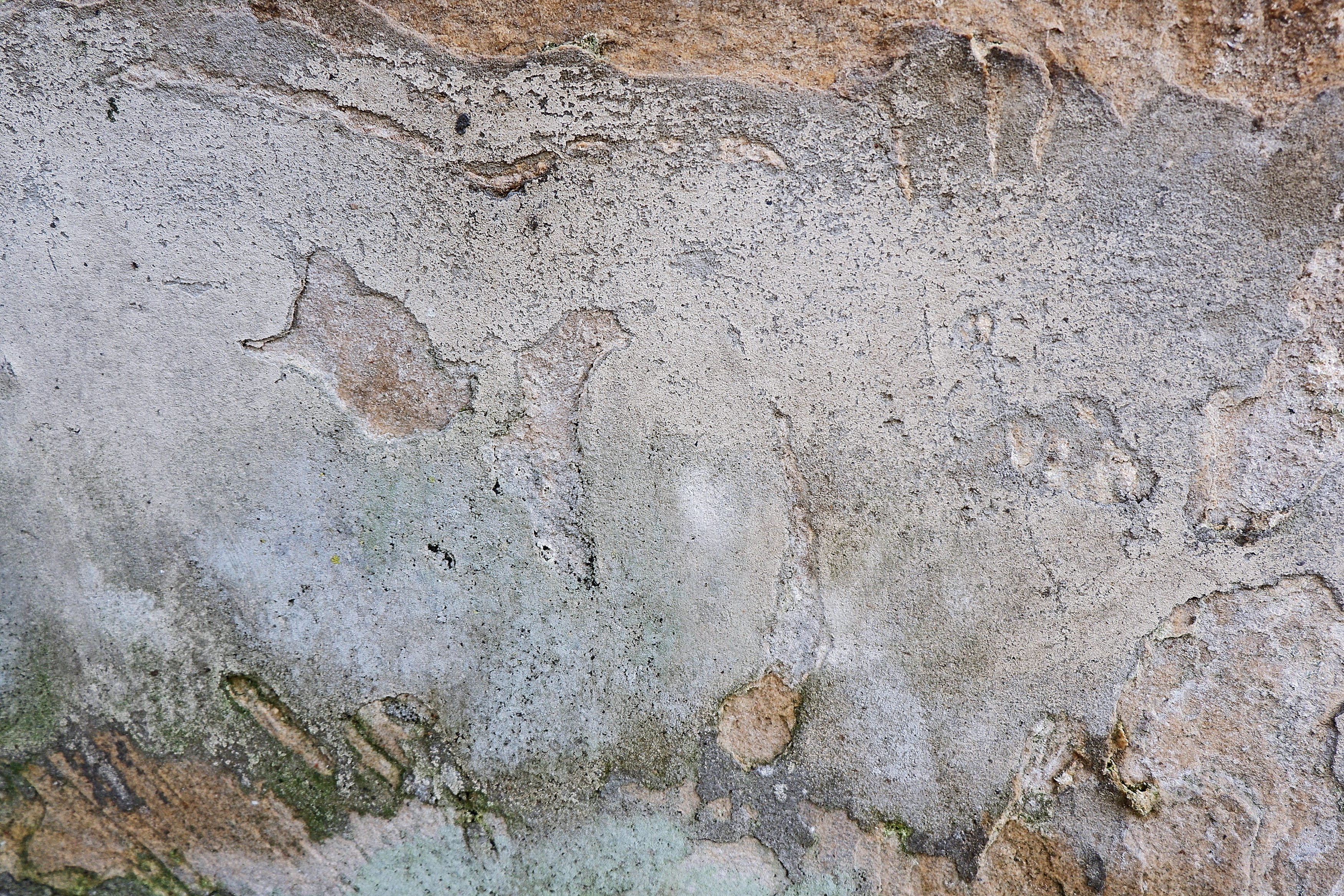 path, insect, archaeology, wall, day, plant, animal, architecture, rock, pattern, backgrounds, rock - object, limestone, 2K, stone wall, no people, built structure, HD Wallpaper