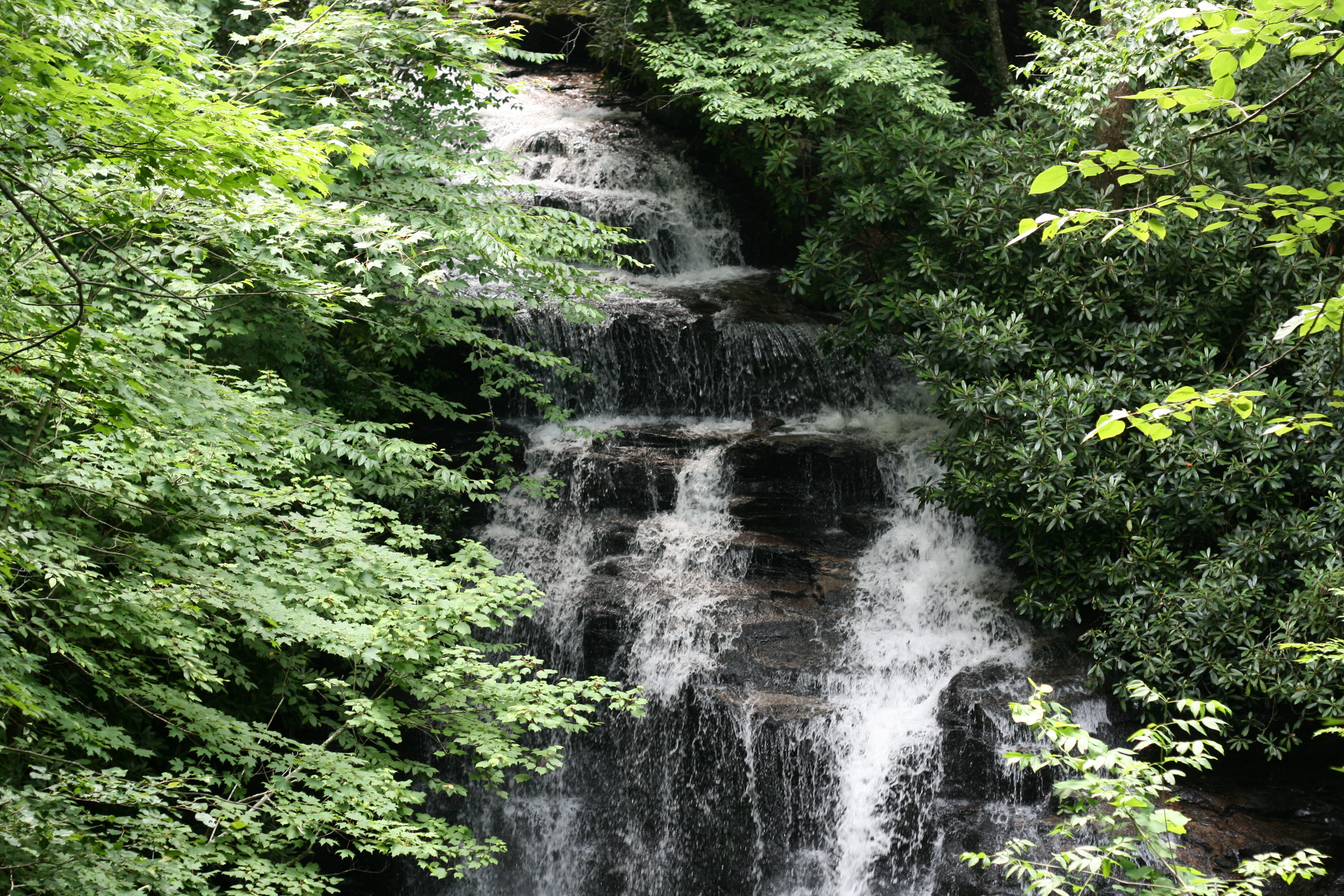 north carolina, falling water, living water, nature, water, no people, 4K, flowing, beauty in nature, green color, power in nature, plant, rainforest, HD Wallpaper