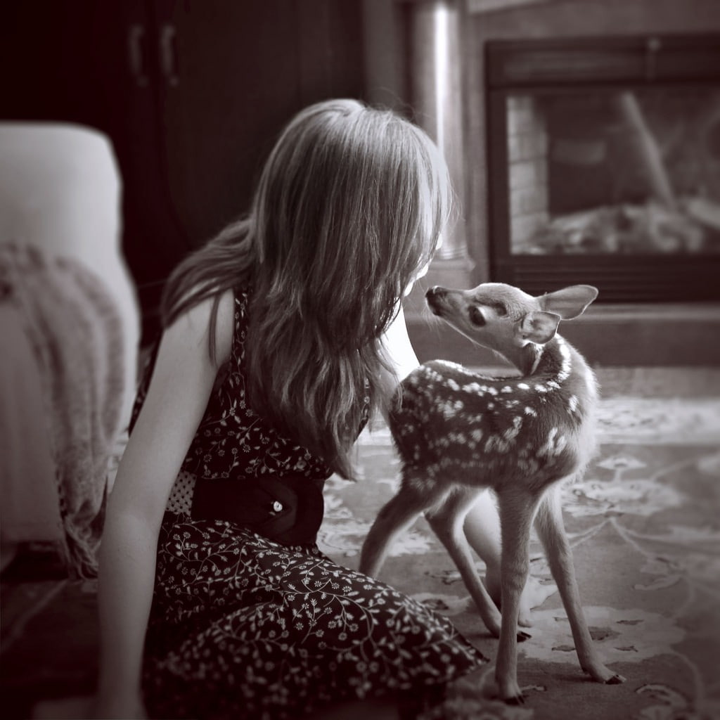 deer, little girl, indoors, 480P, children, sitting, baby animals, monochrome, animals, Phone HD Wallpaper