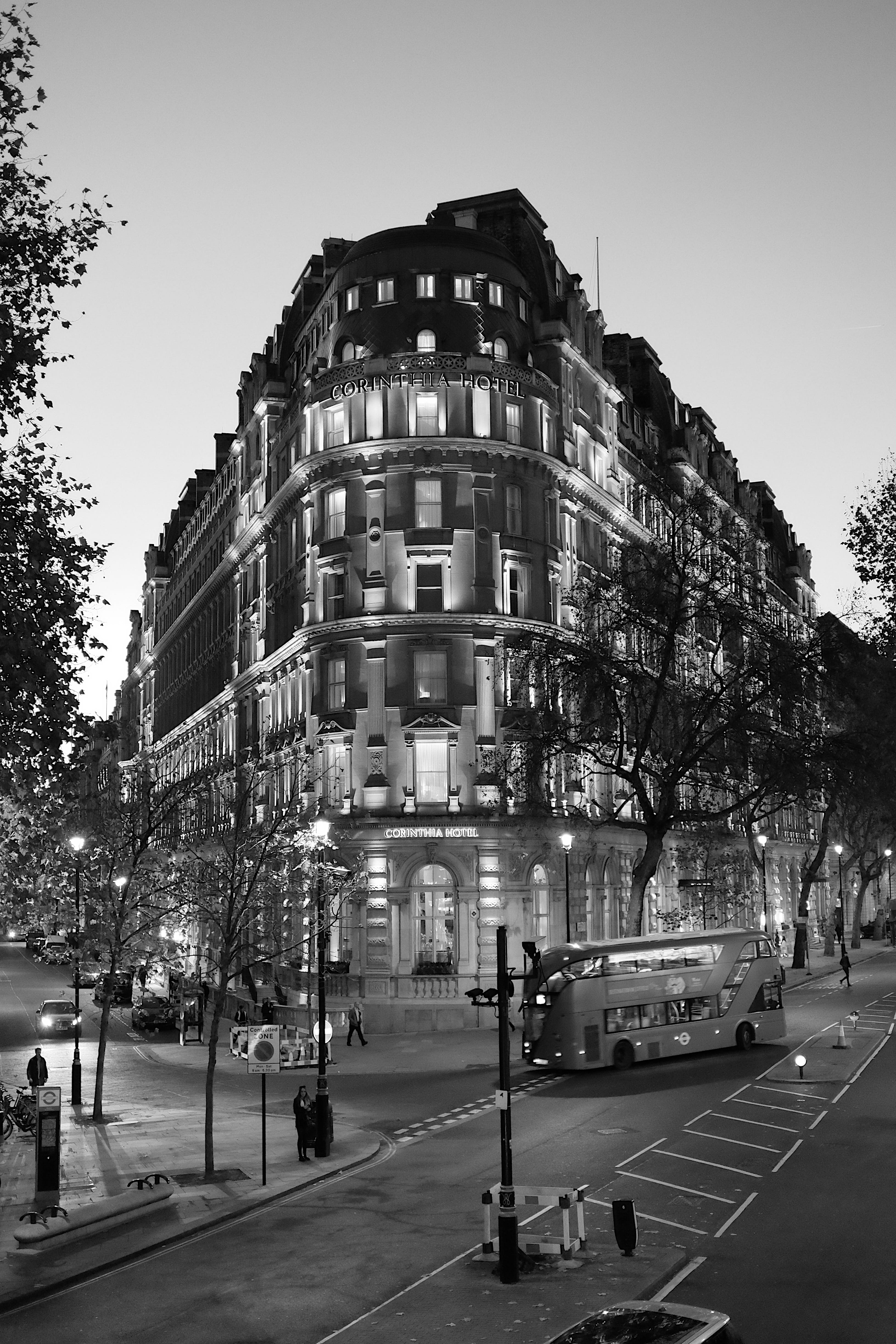 bus, tree, city street, clear sky, buses, westminster, black and white, london, city, outdoors, sign, road marking, mode of transportation, street, building, Phone HD Wallpaper
