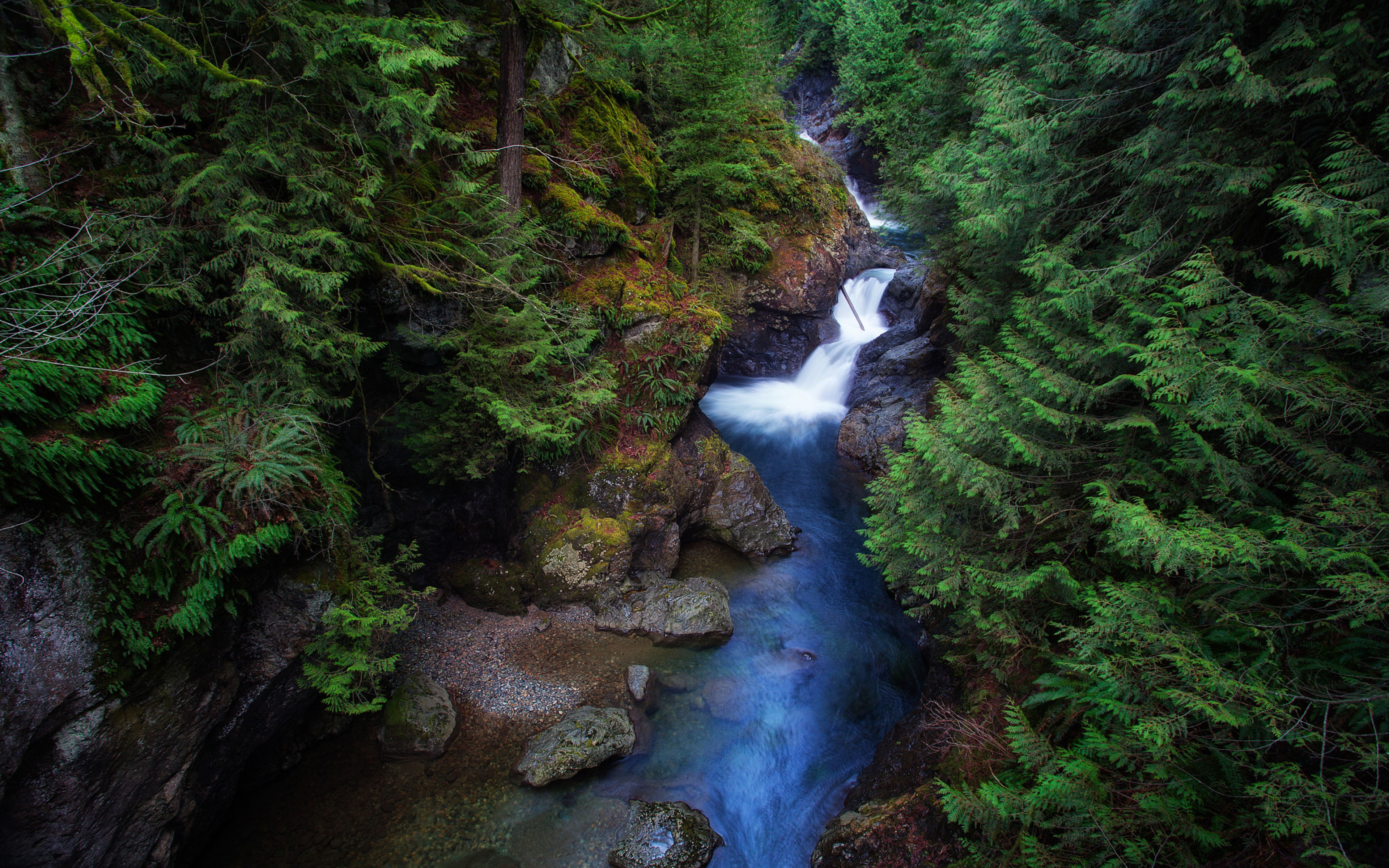 scenics - nature, outdoors, mobile, rock, green color, no people, land, phones, pc, falls, east, washington, solid, growth, rainforest, tree, flowing, power in nature, HD Wallpaper