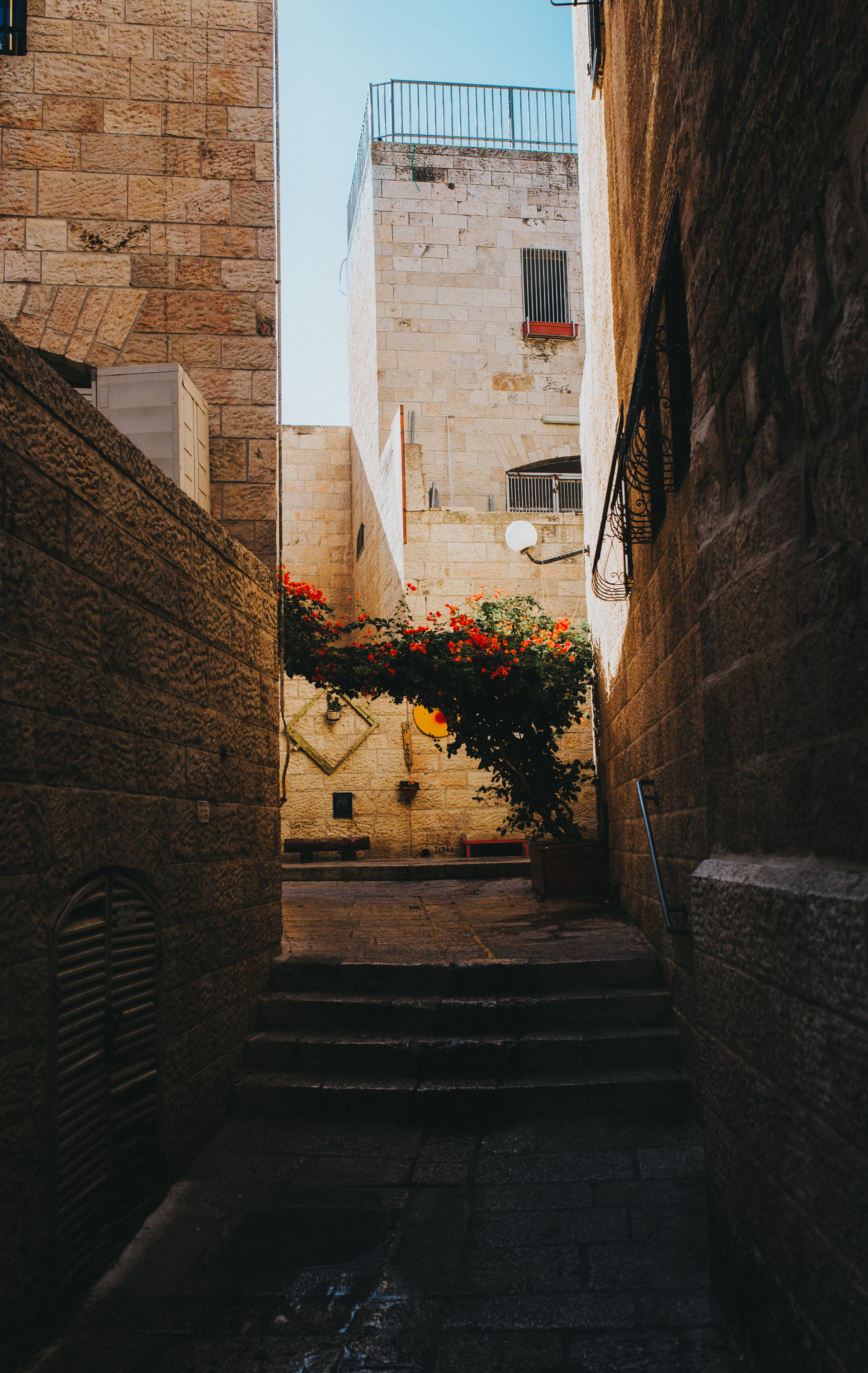 sidewalk, outdoors, growth, nature, crypt, building exterior, day, stone wall, jerusalem, sunlight, narrow, 5K, direction, plant, no people, alley, middle eastern, Phone HD Wallpaper