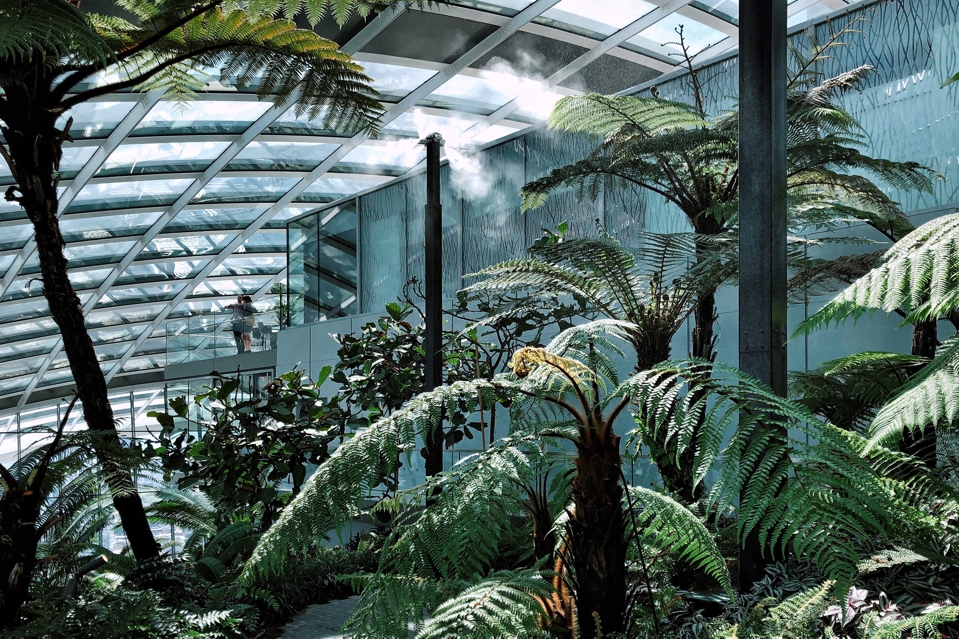 london, no people, plants, greens, ceiling, plant nursery, architecture, public garden, leaf, nature, sunlight, agriculture, urban jungle, 20 fenchurch street, HD Wallpaper
