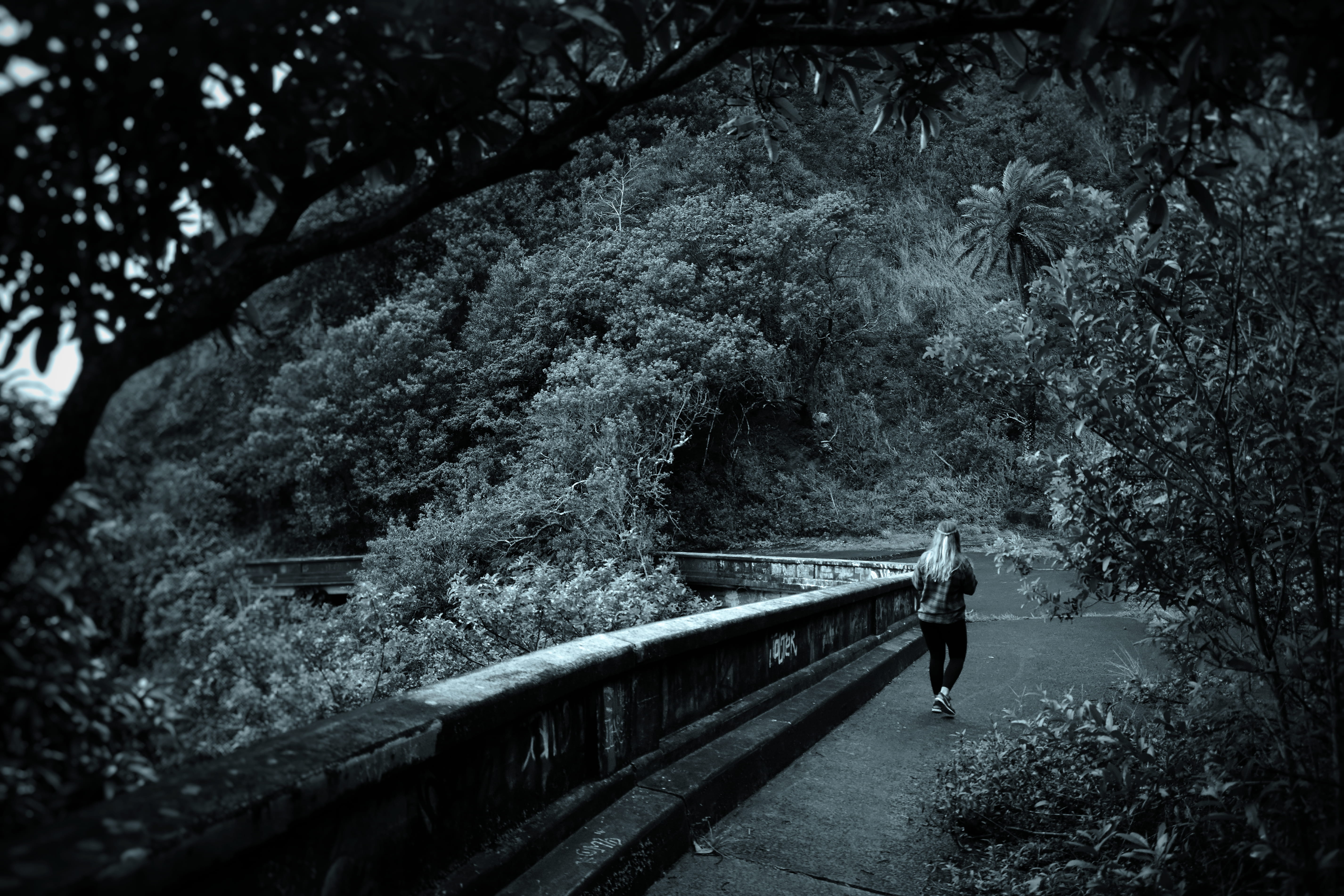 bridge, the way forward, honolulu, forest, pali highway, urban, connection, growth, woman, nature, railing, 5K, united states, jungle, tree, day, hawaii, HD Wallpaper