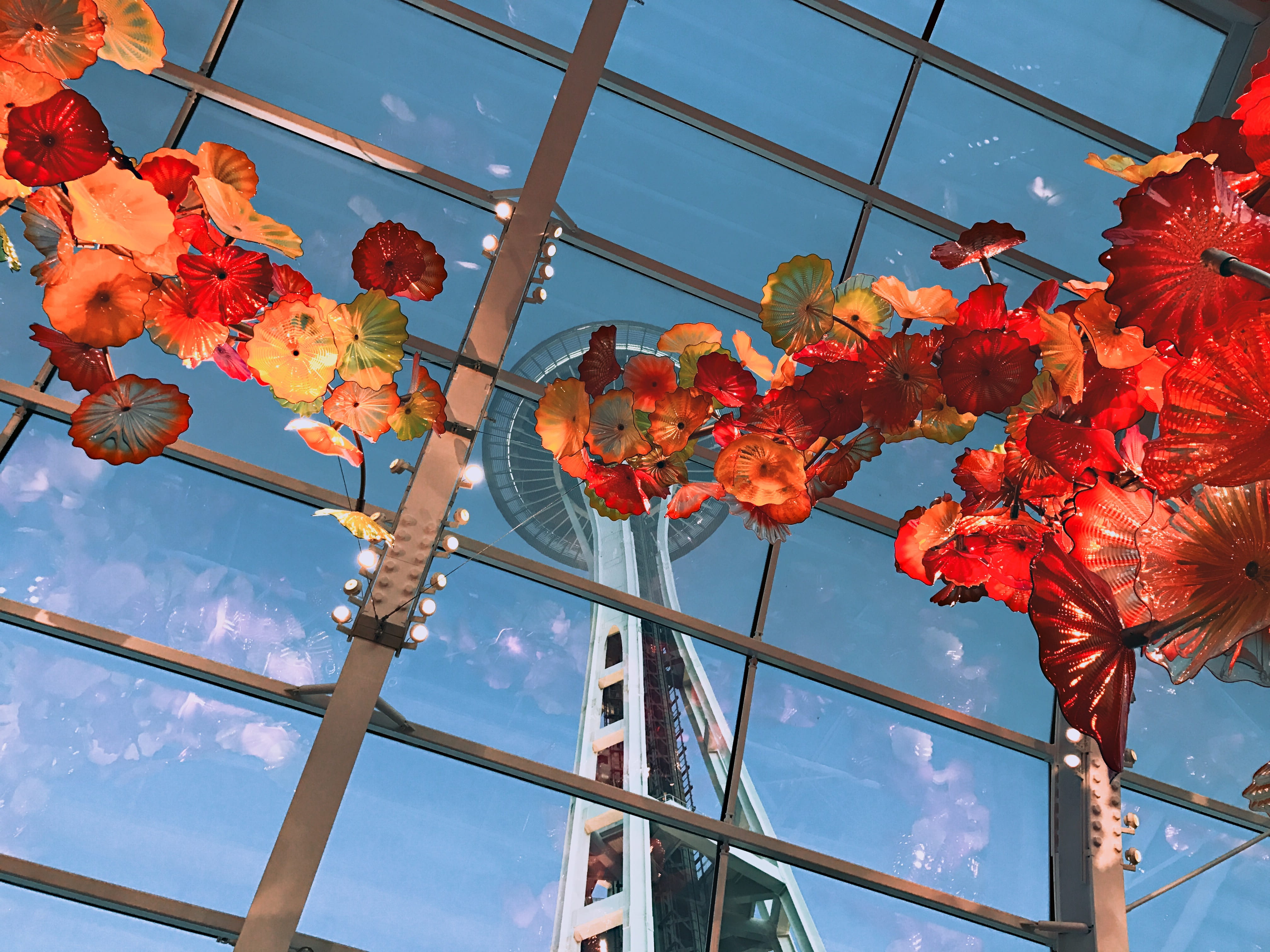 seattle, glass, flowering plant, plant, flower, queen anne, growth, orange color, space needle, nature, built structure, no people, sunlight, cloud - sky, HD Wallpaper