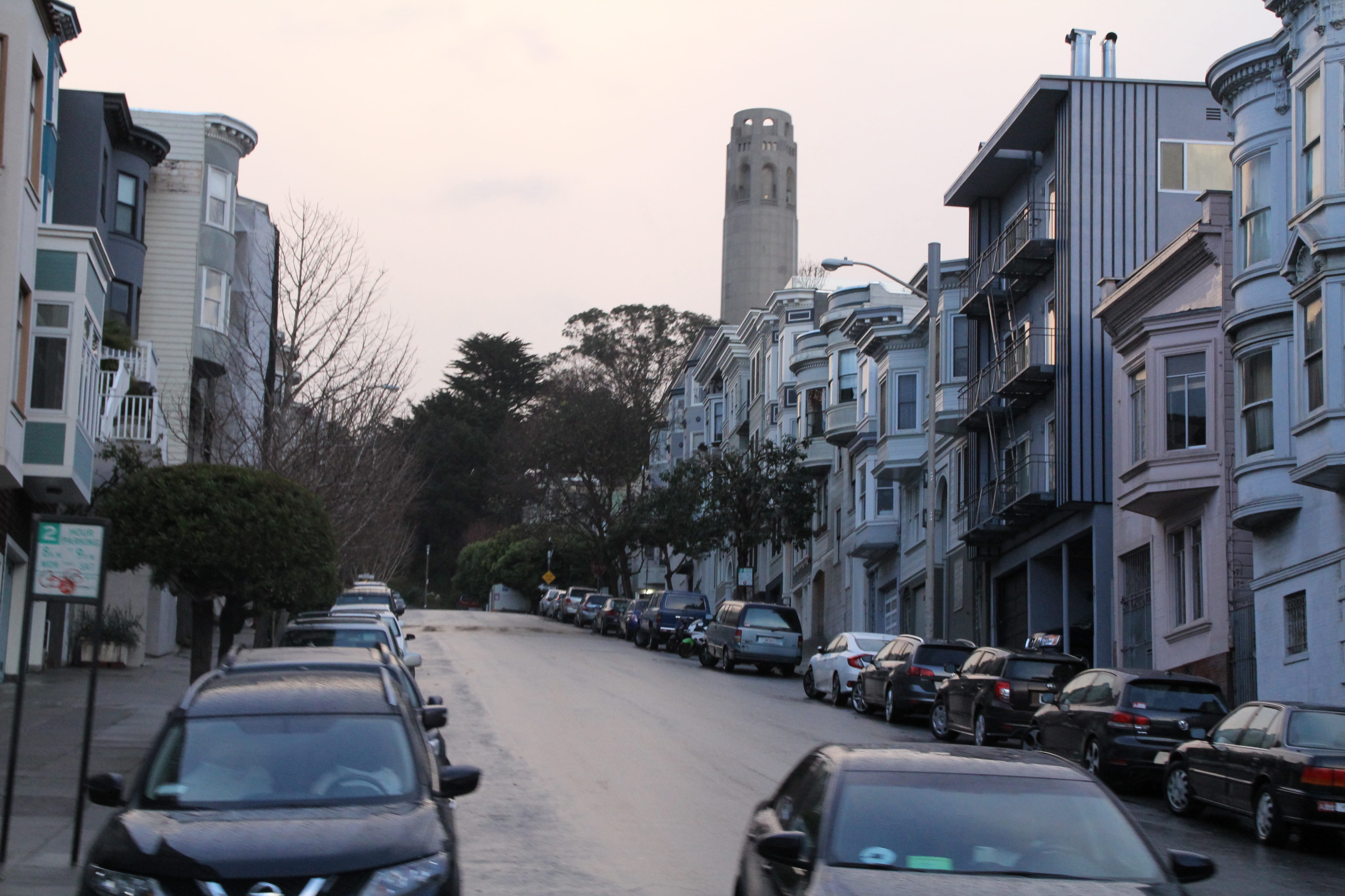 5K, russian hill, transportation, street, car, plant, mode of transportation, bay area, residential district, united states, motor vehicle, russian hil, HD Wallpaper