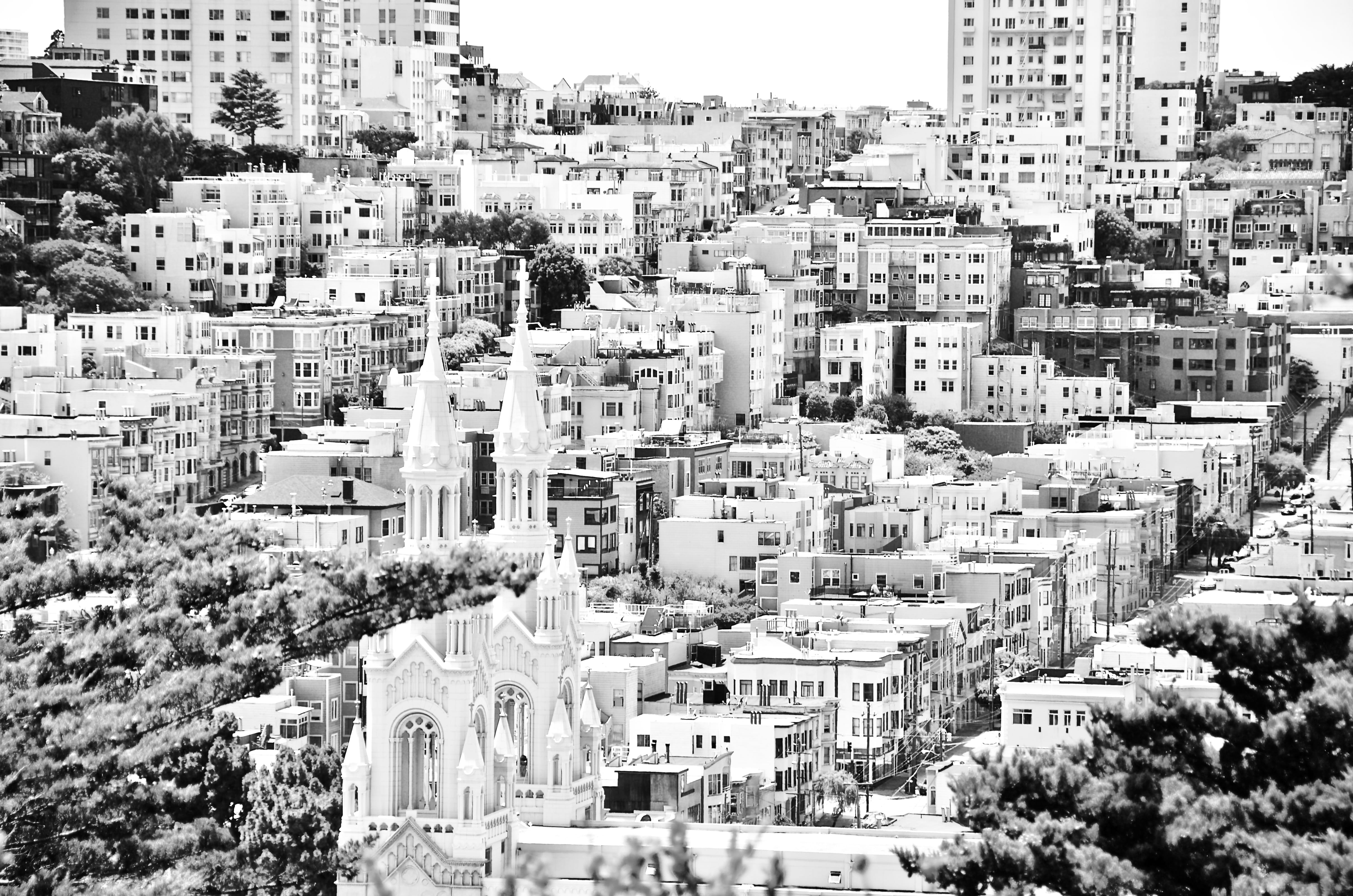 high angle view, plant, city life, no people, city, street, 4K, lombard street, trees, architecture, day, black and white, buildings, streets, tree, townscape, HD Wallpaper