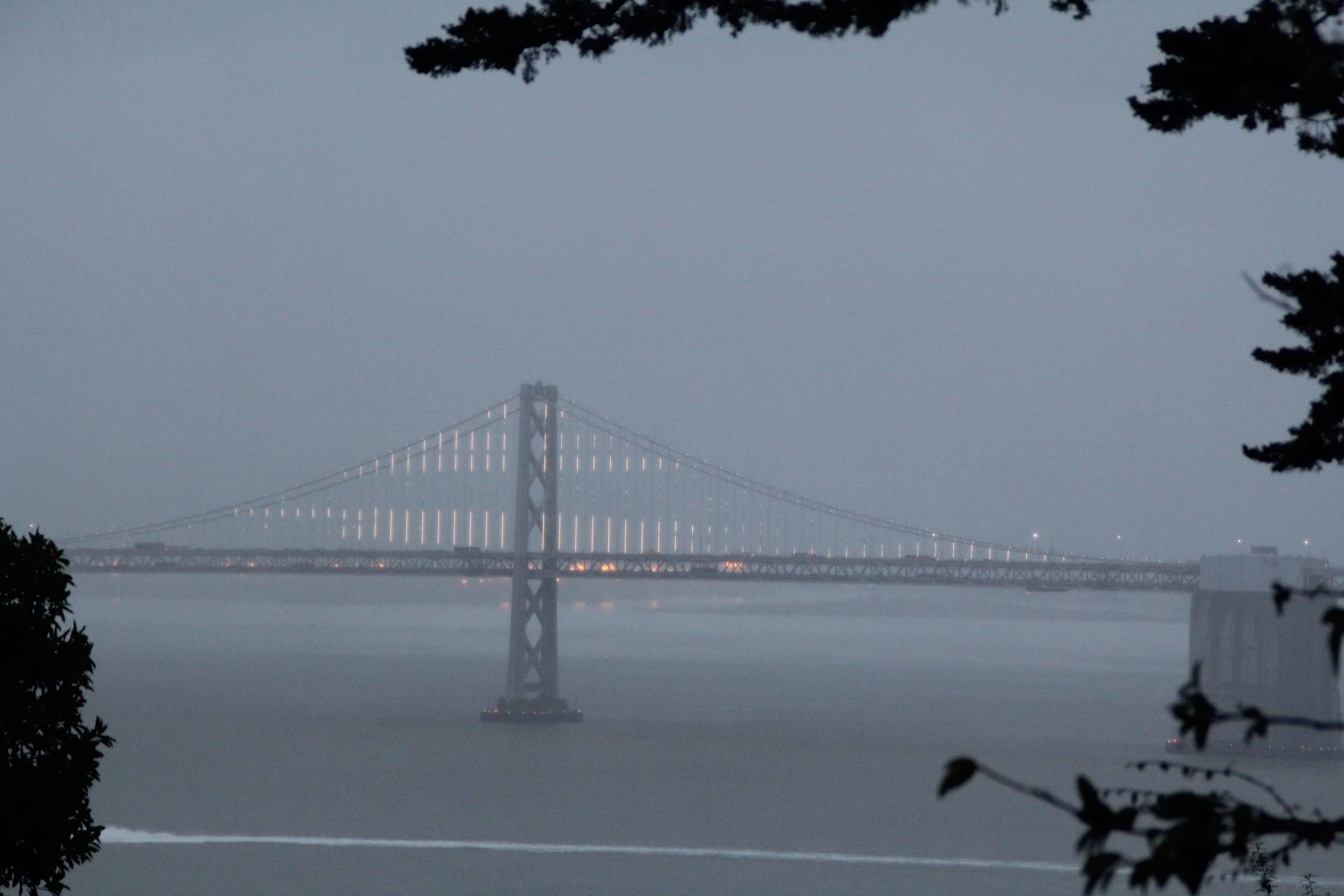vignette, water, suspension bridge, tree, tourism, bridge, travel, san francisco, united states, bridge - man made structure, bay, outdoors, transportation, HD Wallpaper