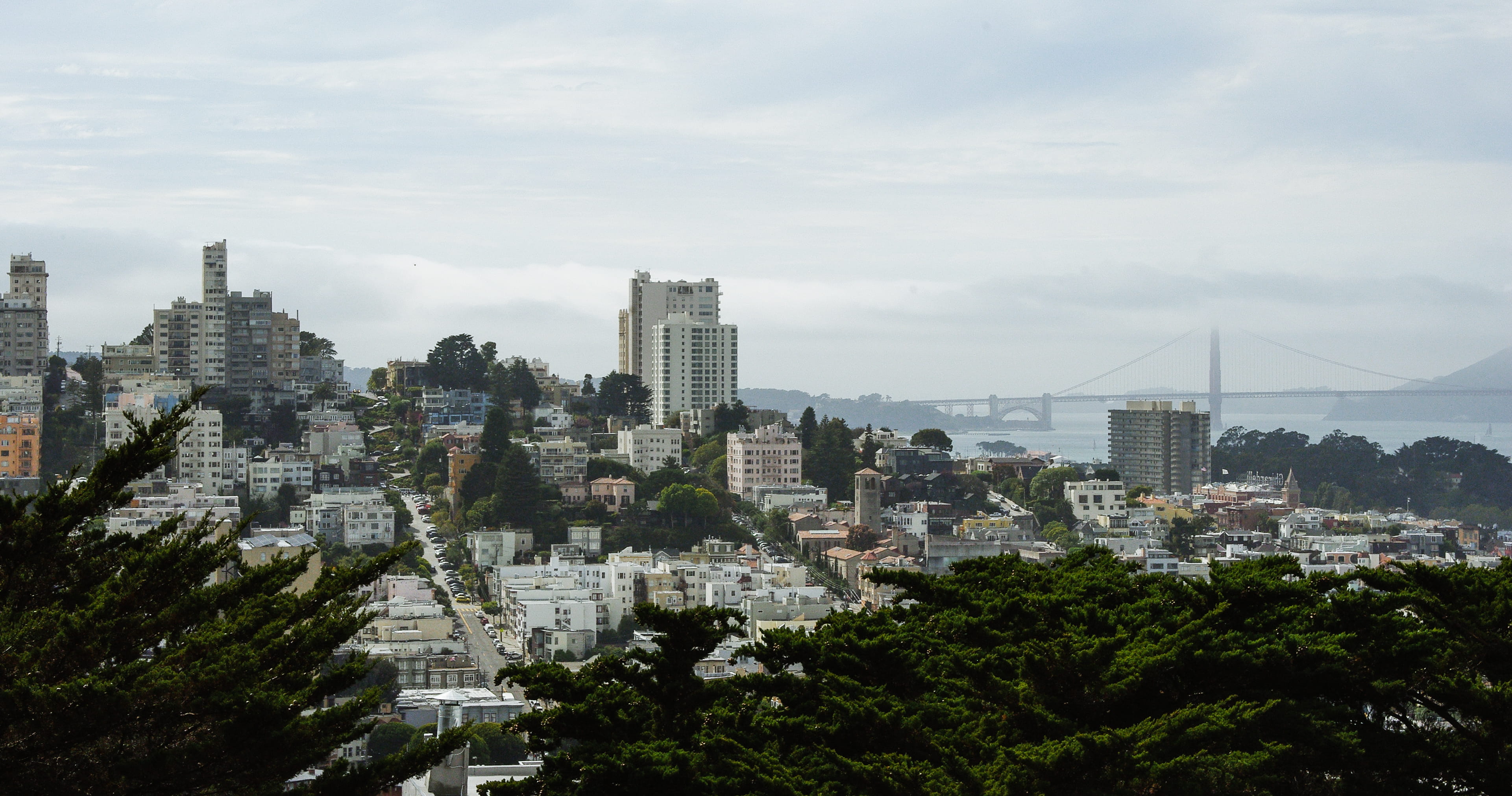 lombard, san francisco, skyscraper, building exterior, street, built structure, cityscape, no people, 4K, san, architecture, united states, plant, residential district, HD Wallpaper