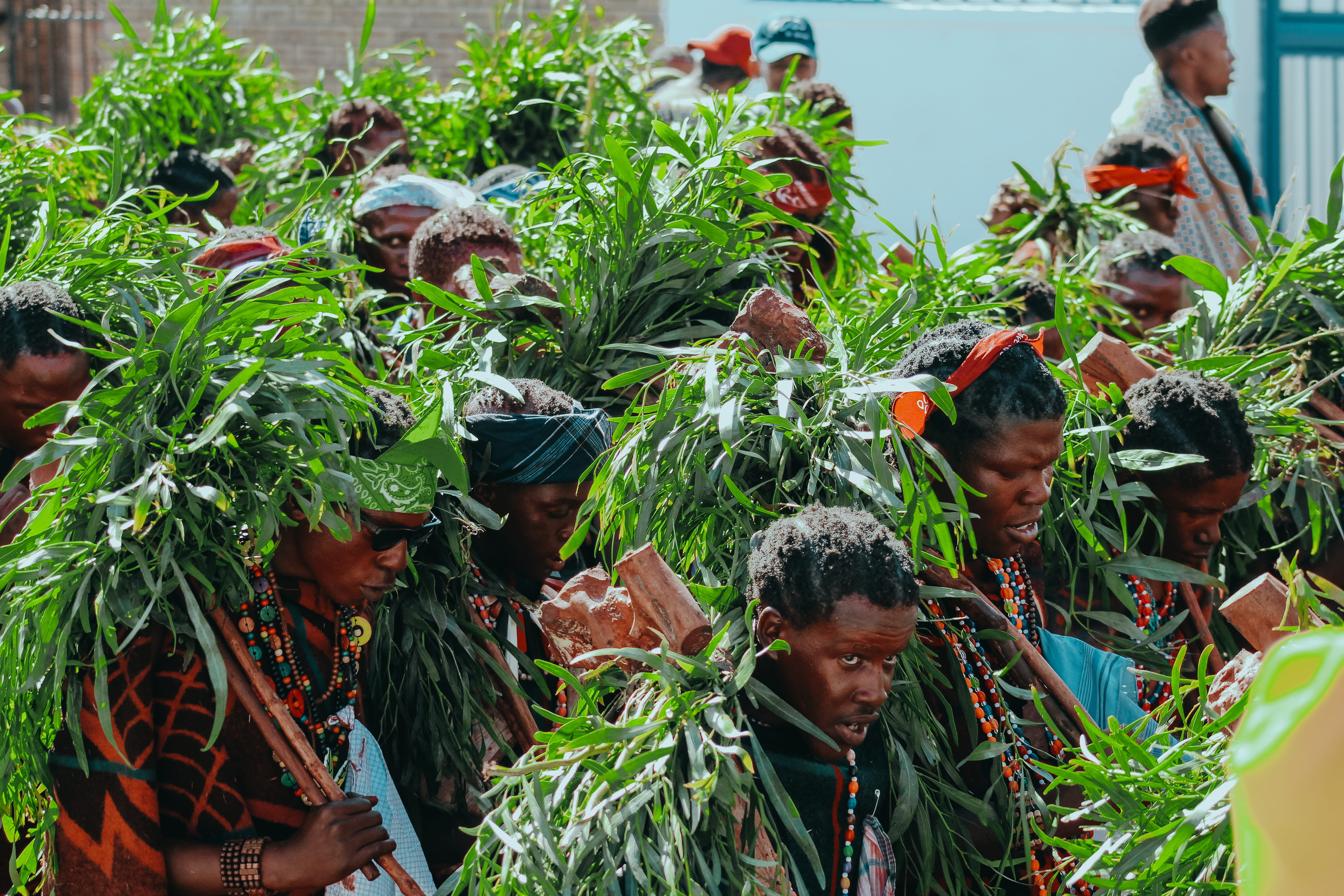 5K, green color, basothoinitiation, celebration, covered, leisure activity, vase, crowd, headshot, group of people, leaf, grass, accessories, festival, HD Wallpaper