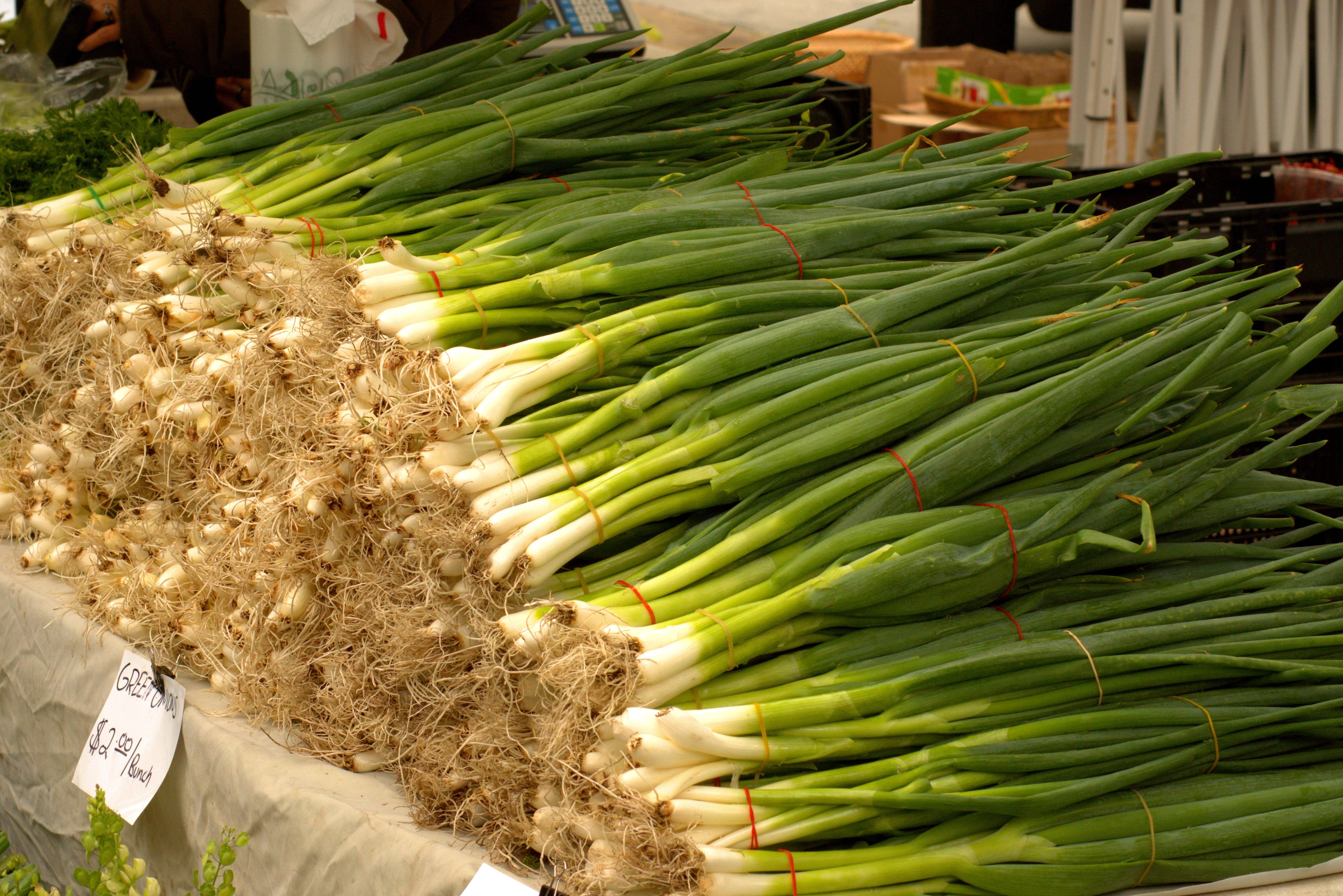 vegetable, variation, food, market stall, crop, green color, natural, high angle view, harvested onions, garden, green, farmers market, wellbeing, fresh onions, HD Wallpaper