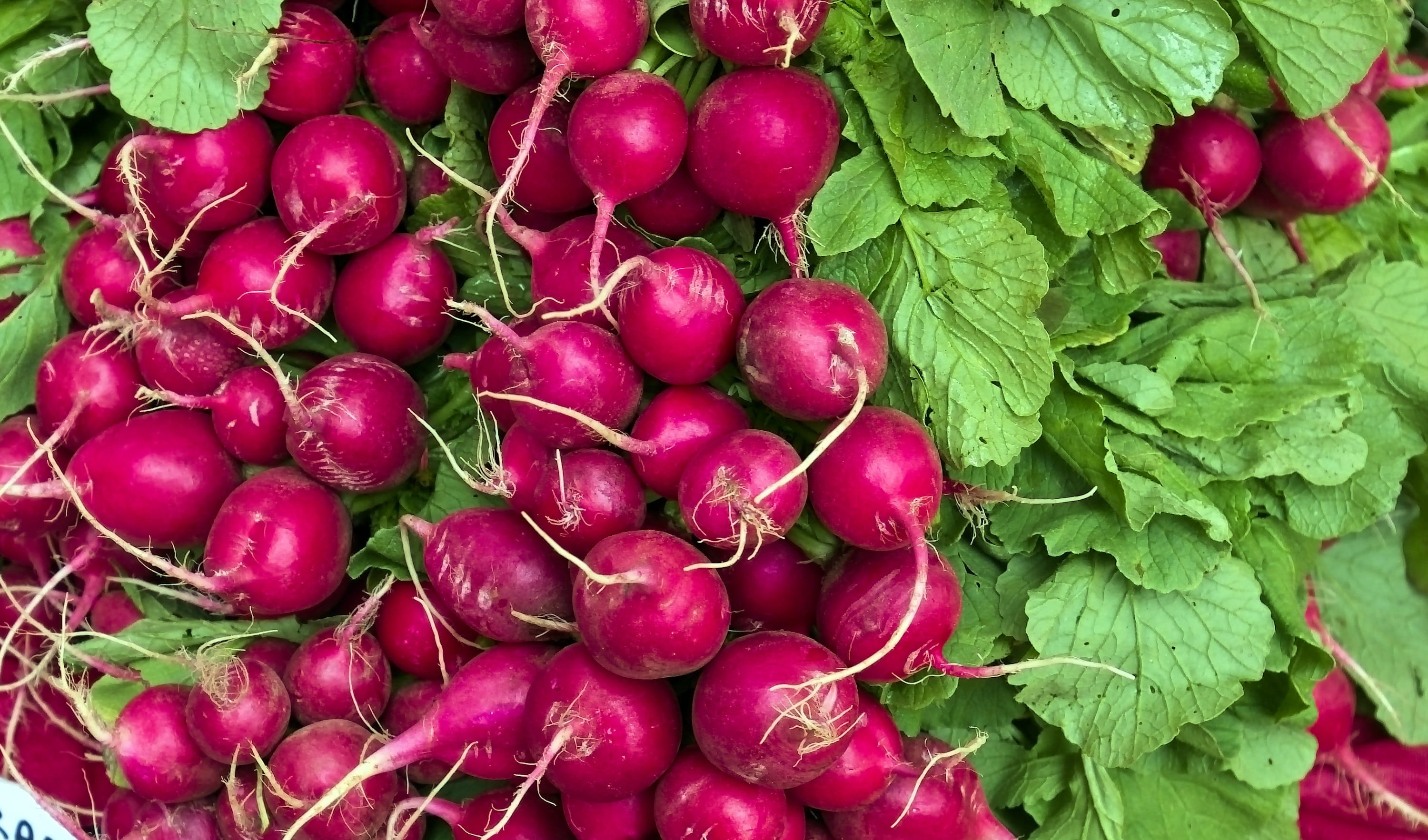day, close-up, high angle view, market, garden, ripe, vegetable, green, radishes, dane county, root vegetable, full frame, healthy eating, leaf, vegetarian food, HD Wallpaper