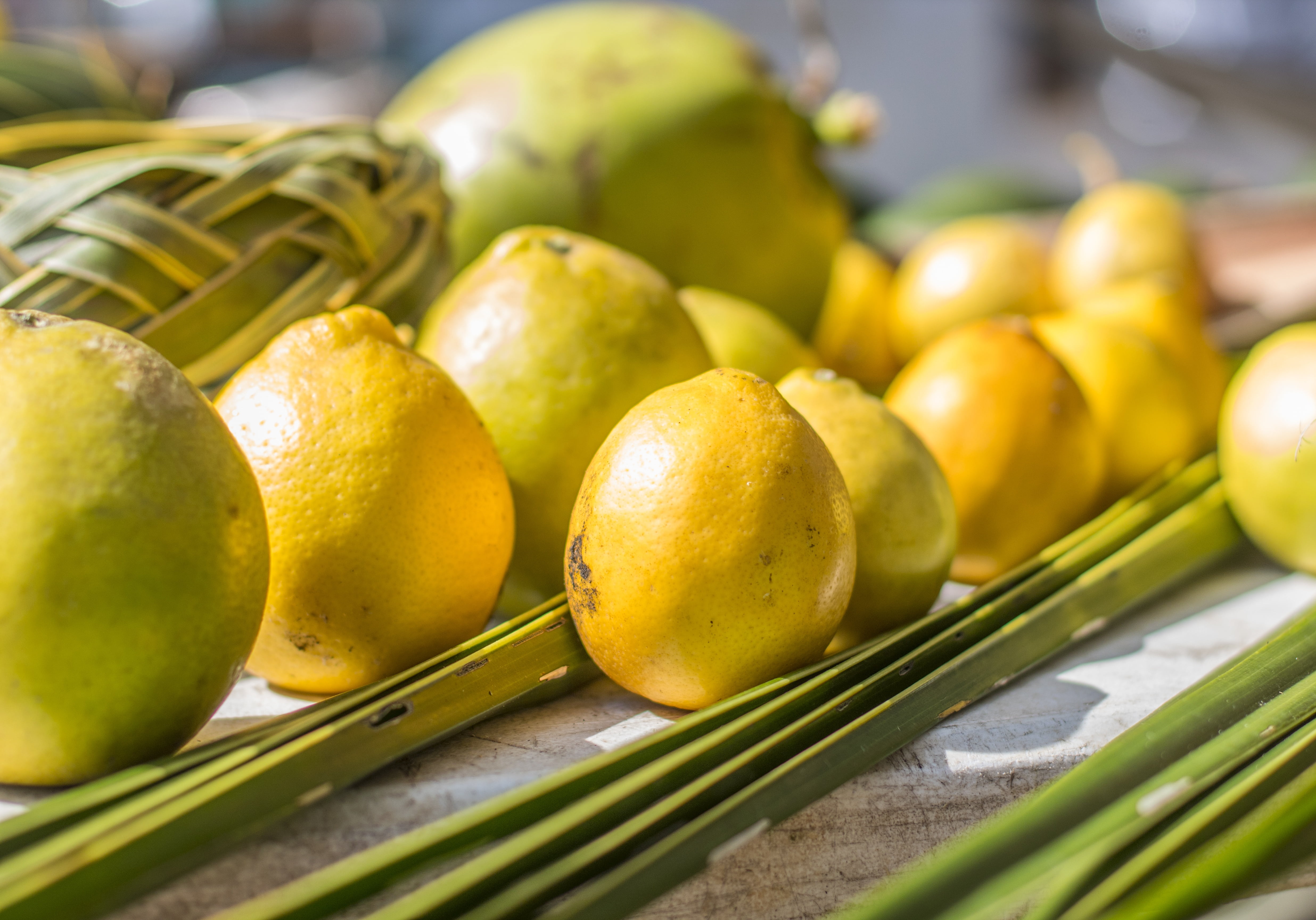 citrus fruit, farmer market, produce, selective focus, nutrition, sale, yellow, colorful, harvest, still life, food, ripe, fresh, lemons, travel, vegetable, HD Wallpaper