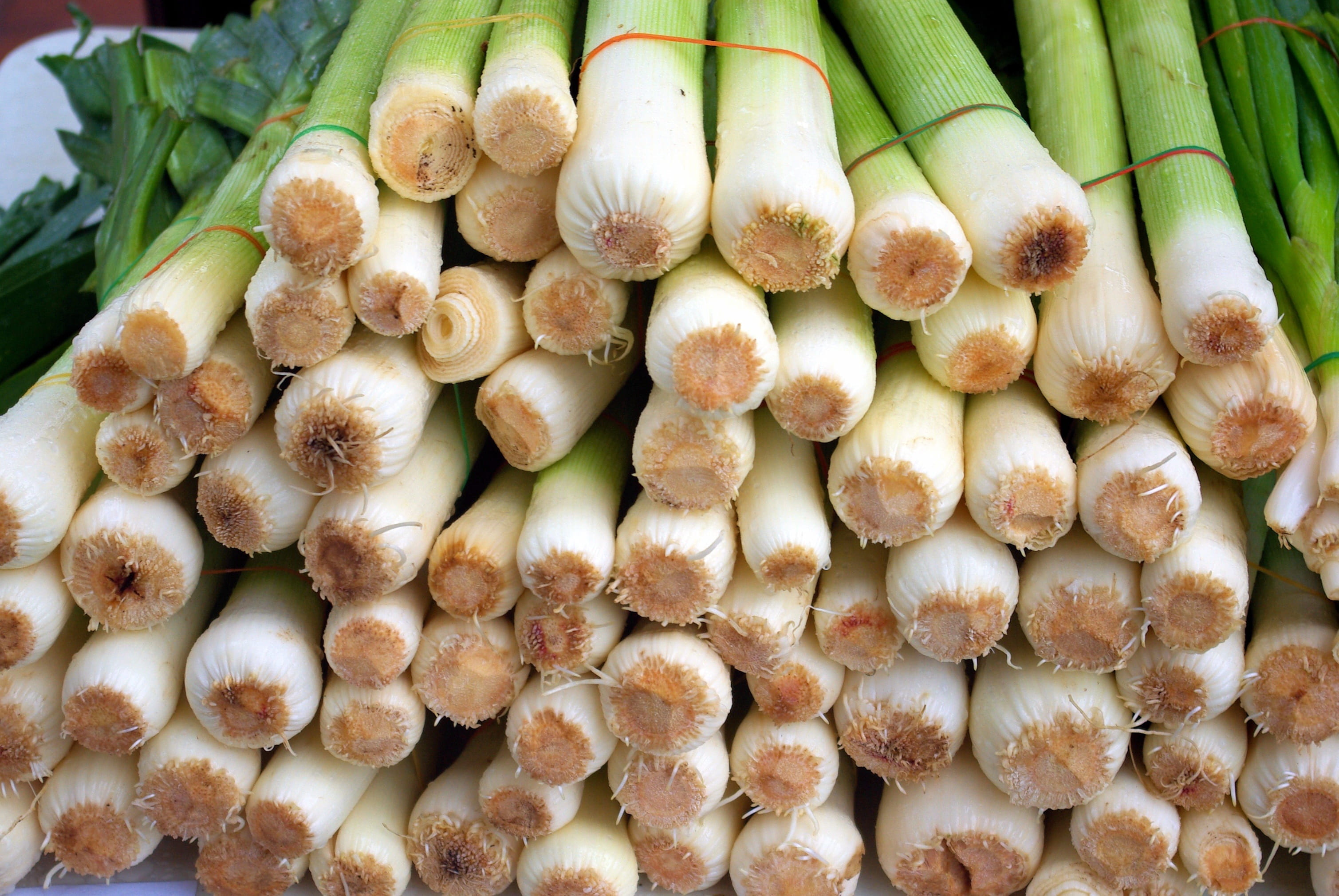 organic, vegetable, green, farmers market leeks, large group of objects, white, vitamins, raw food, farm, food, colorful, plant, food and drink, leeks, HD Wallpaper