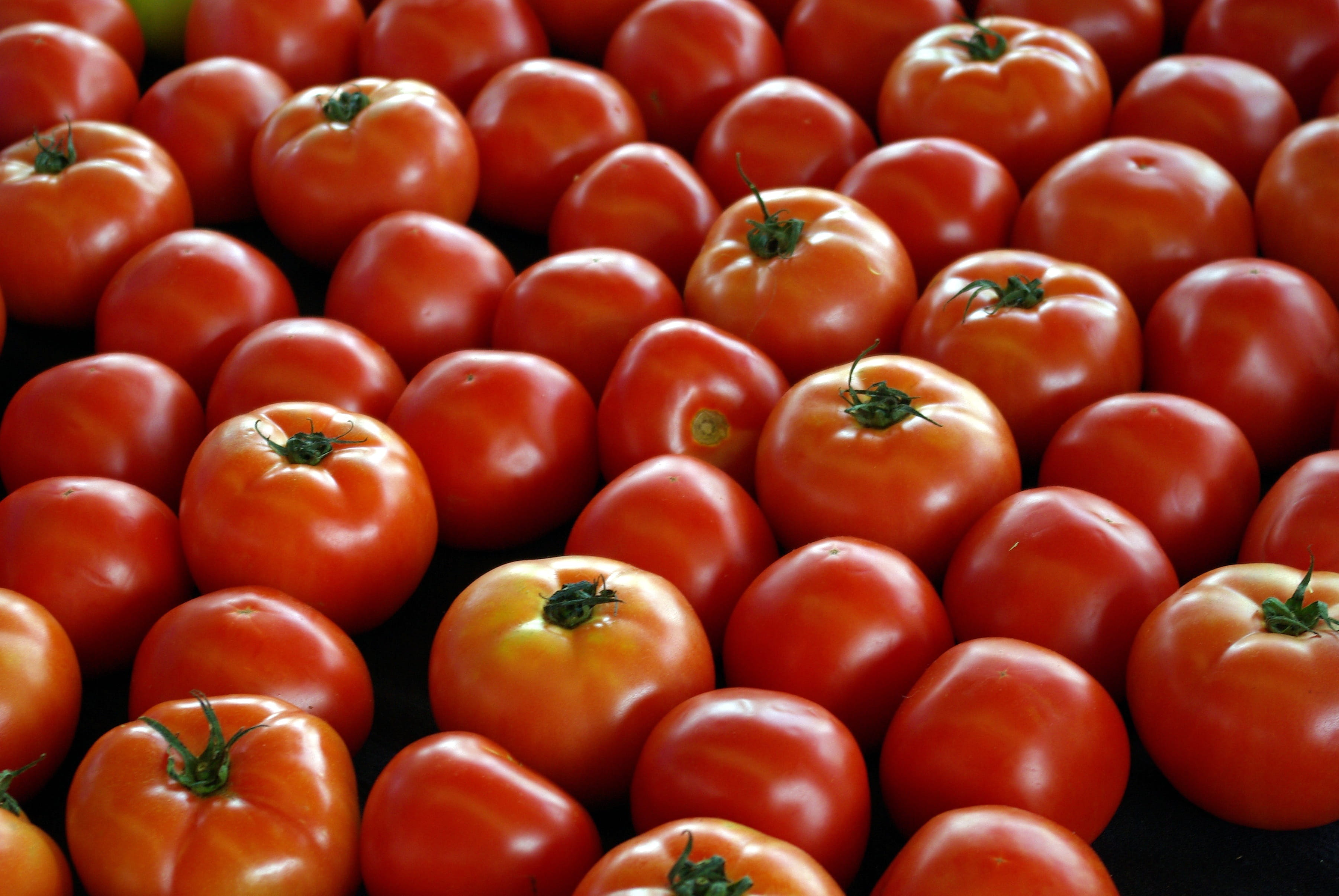 healthy eating, vegetables, fruit, natural, market, tomatoes, wellbeing, backgrounds, farmers, plant, harvest, large group of objects, freshness, juicy, HD Wallpaper