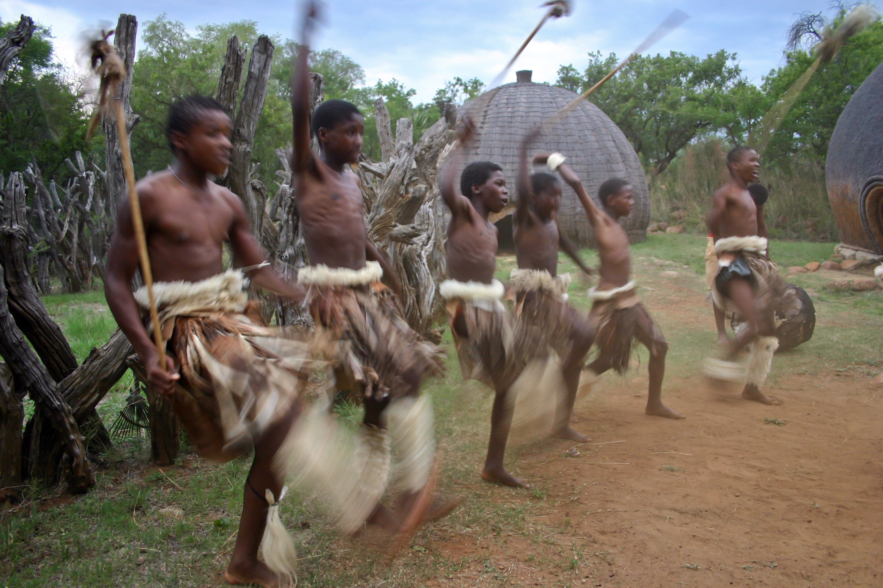 army soldier, nature, group of people, mammal, adult, izibindi, war, tree, animal skin skirts, men, dance, real people, blurred motion, shirtless, movement, HD Wallpaper