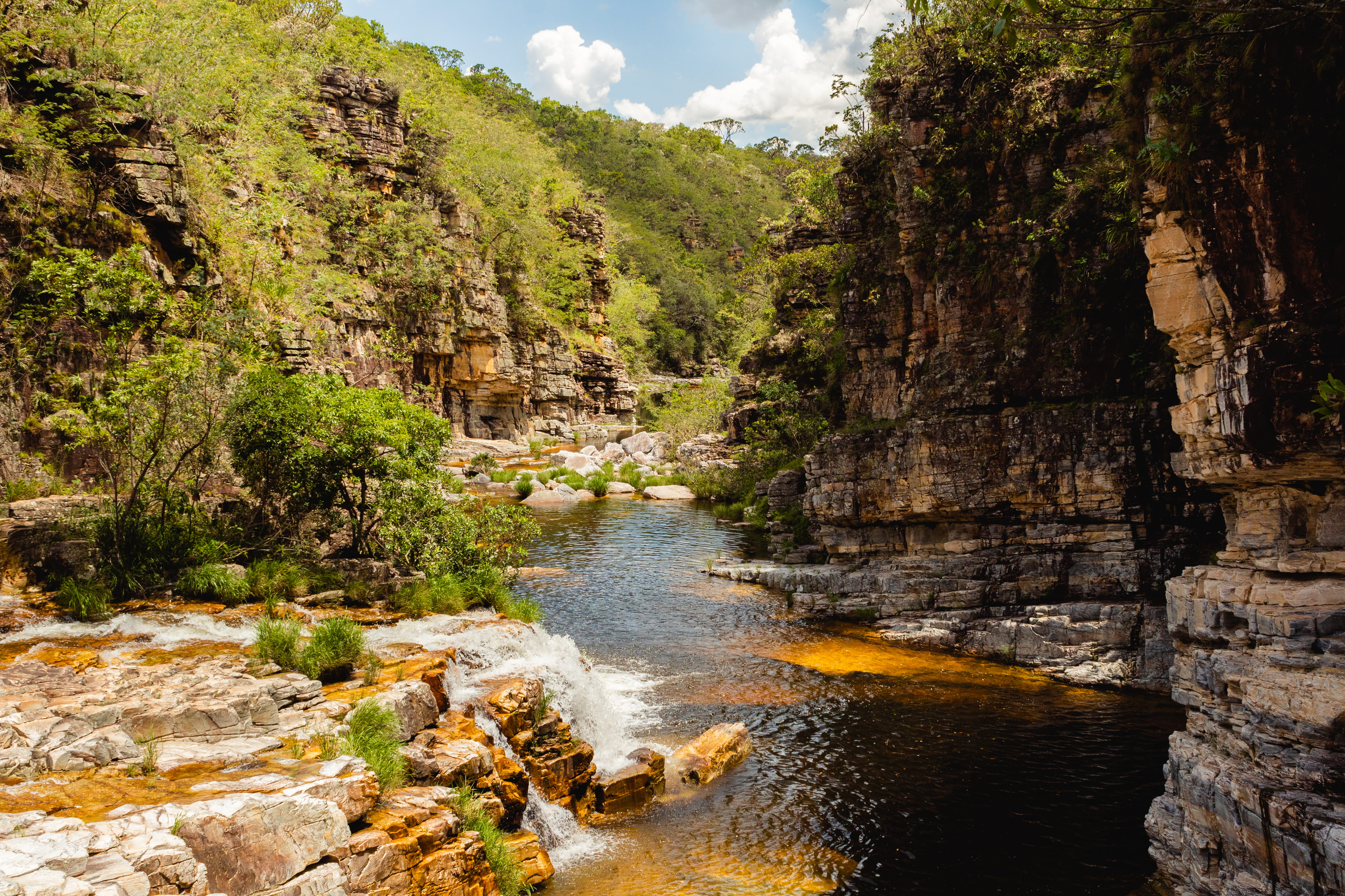 water, plant, flowing water, formation, river, brazil, scenery, waterfall, lake, creek, valley, scenics - nature, painting, land, tranquil scene, rock, HD Wallpaper