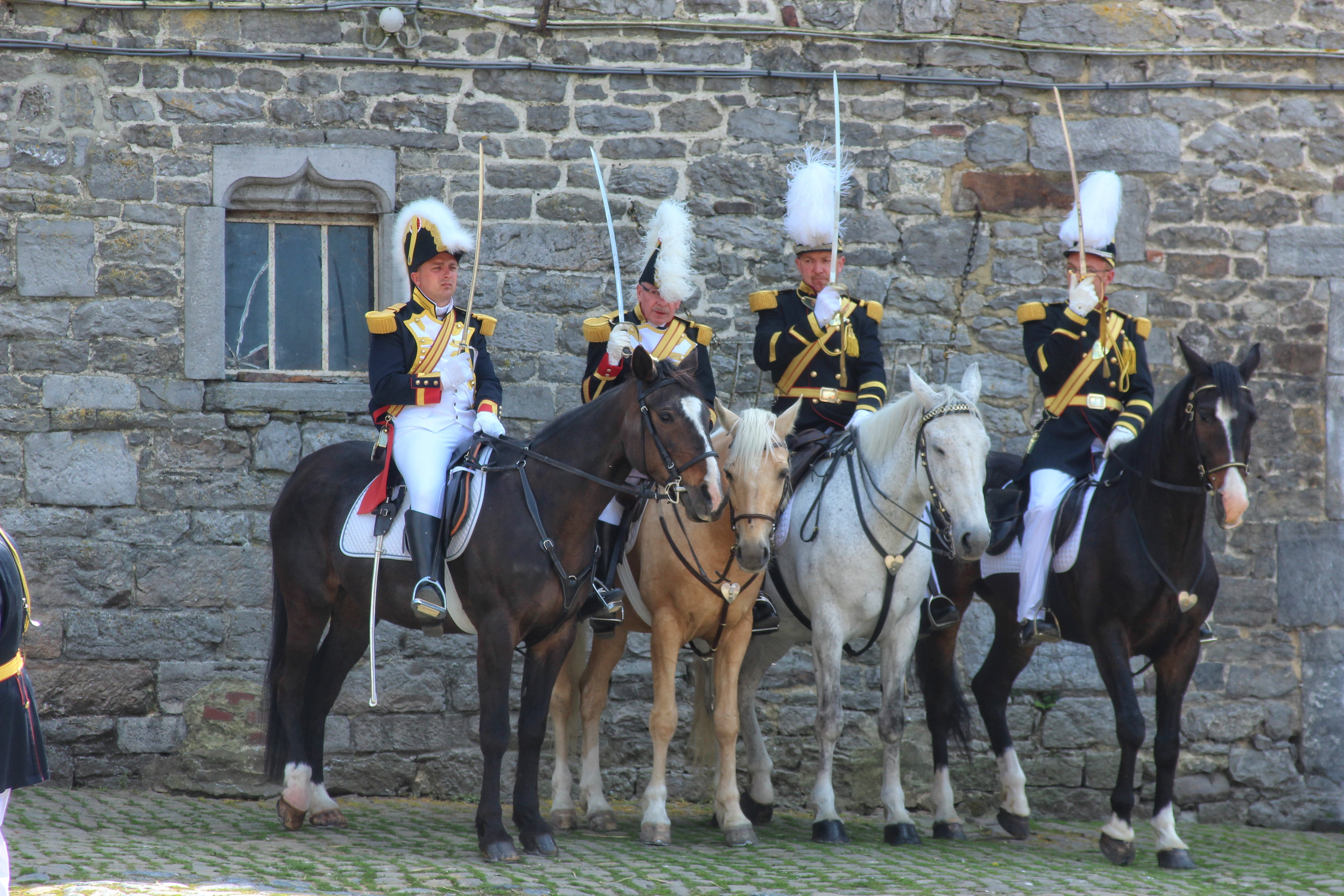 riding, lifestyles, military, animal wildlife, history, working animal, group of animals, napoleon, people, group of people, herbivorous, horseback riding, HD Wallpaper