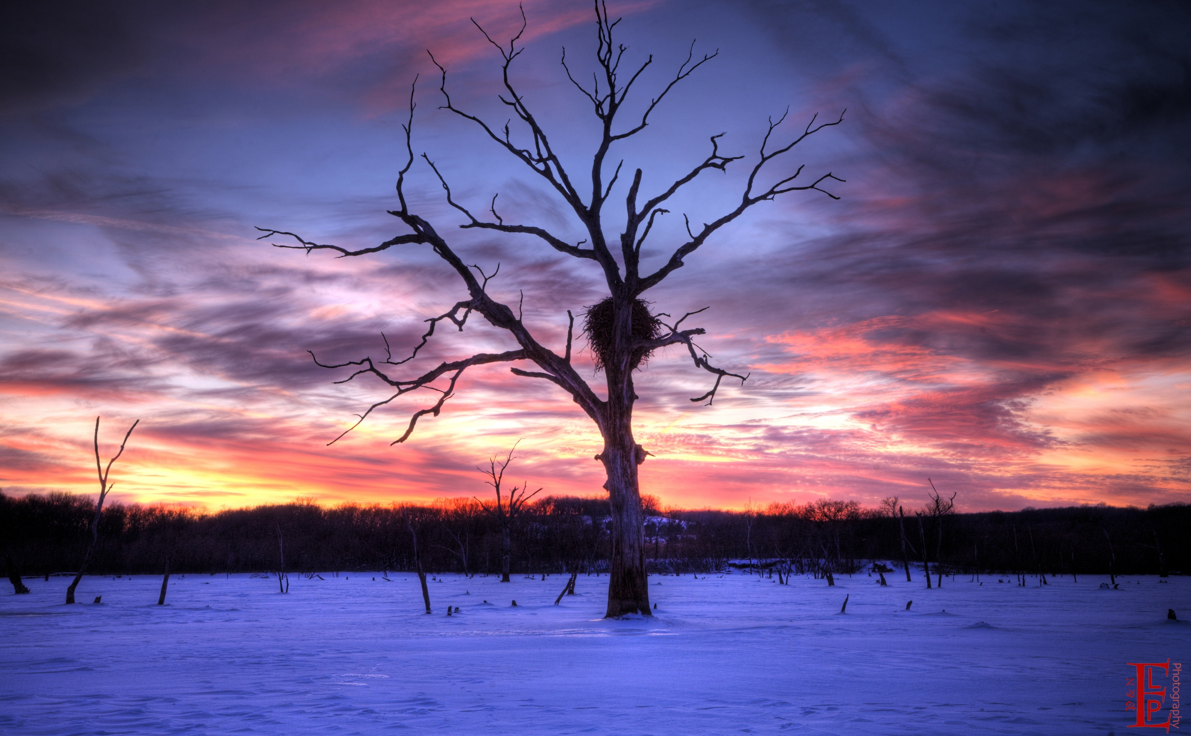 Lawrence, United States, isolated, outdoors, Sunset, snow, Clinton Lake, tranquility, dead plant, non-urban scene, Landscape, tapestry, Nature, gray, cold temperature, HD Wallpaper