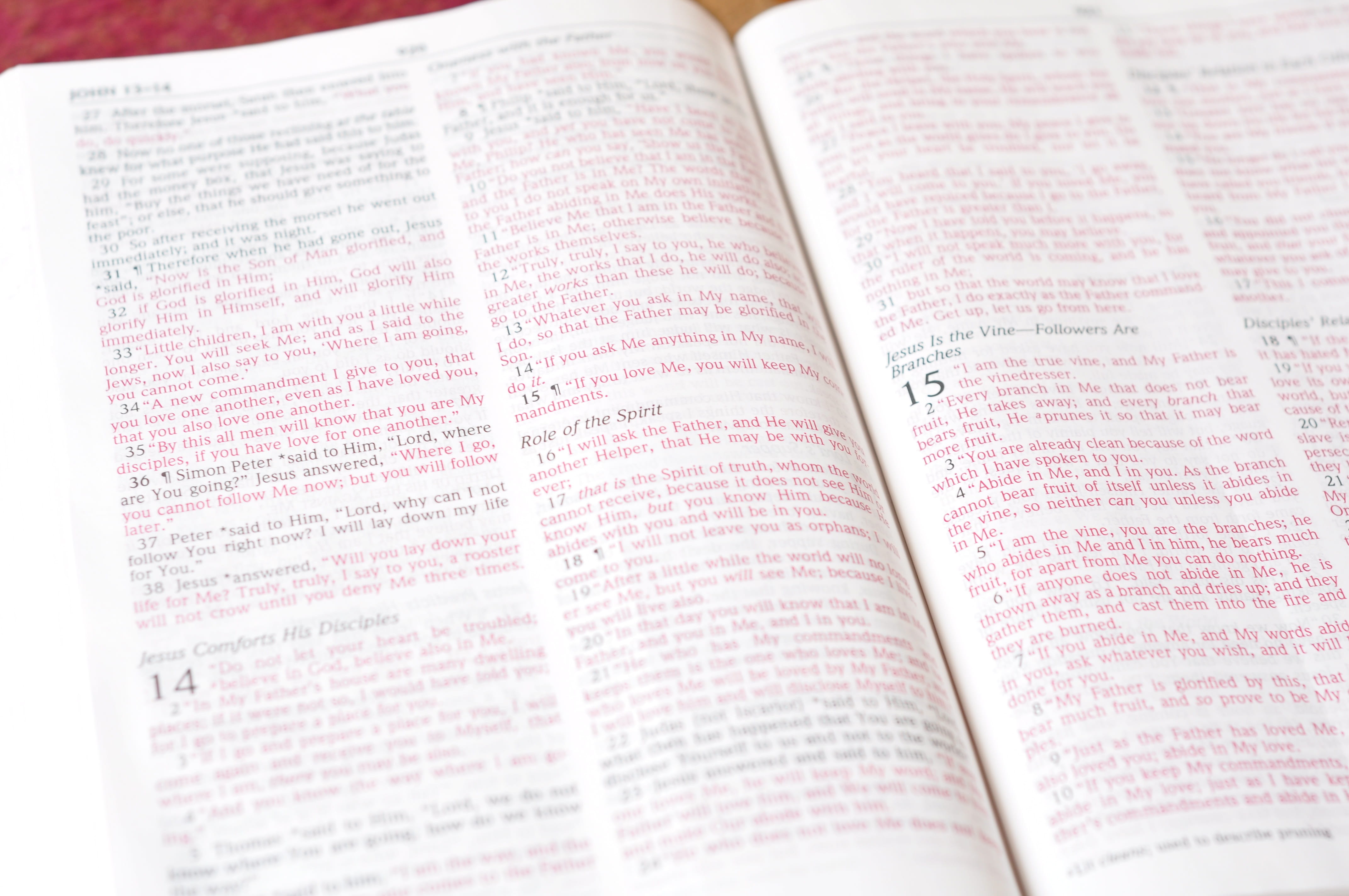 still life, Book, western script, paper, publication, jesus, holy, 4K, Open, communication, selective focus, faith, religious, page, close-up, christianity, HD Wallpaper