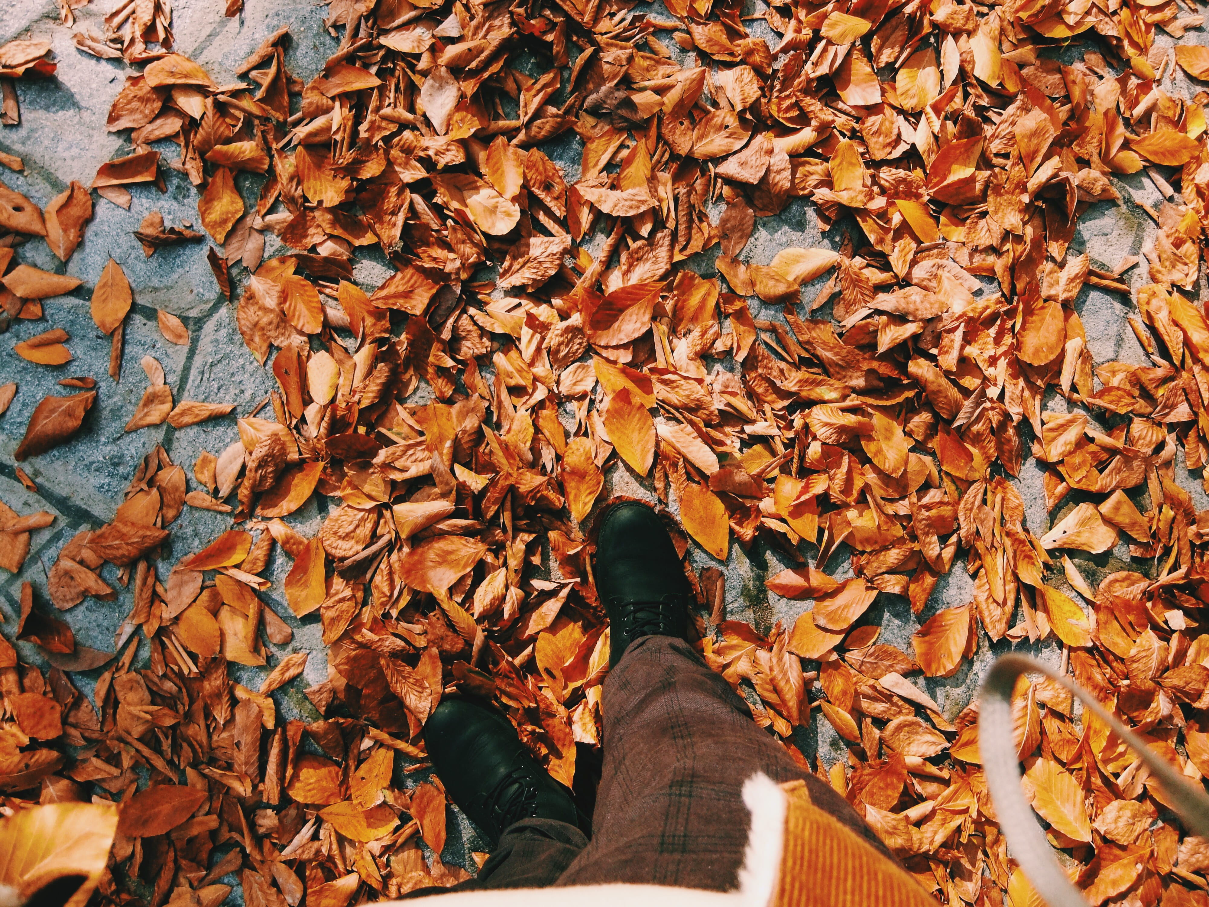 personal perspective, clothing, #bursa, nature, person, natural condition, change, leaves, overcoat, #fall, high angle view, orange color, autumn, leaf, HD Wallpaper
