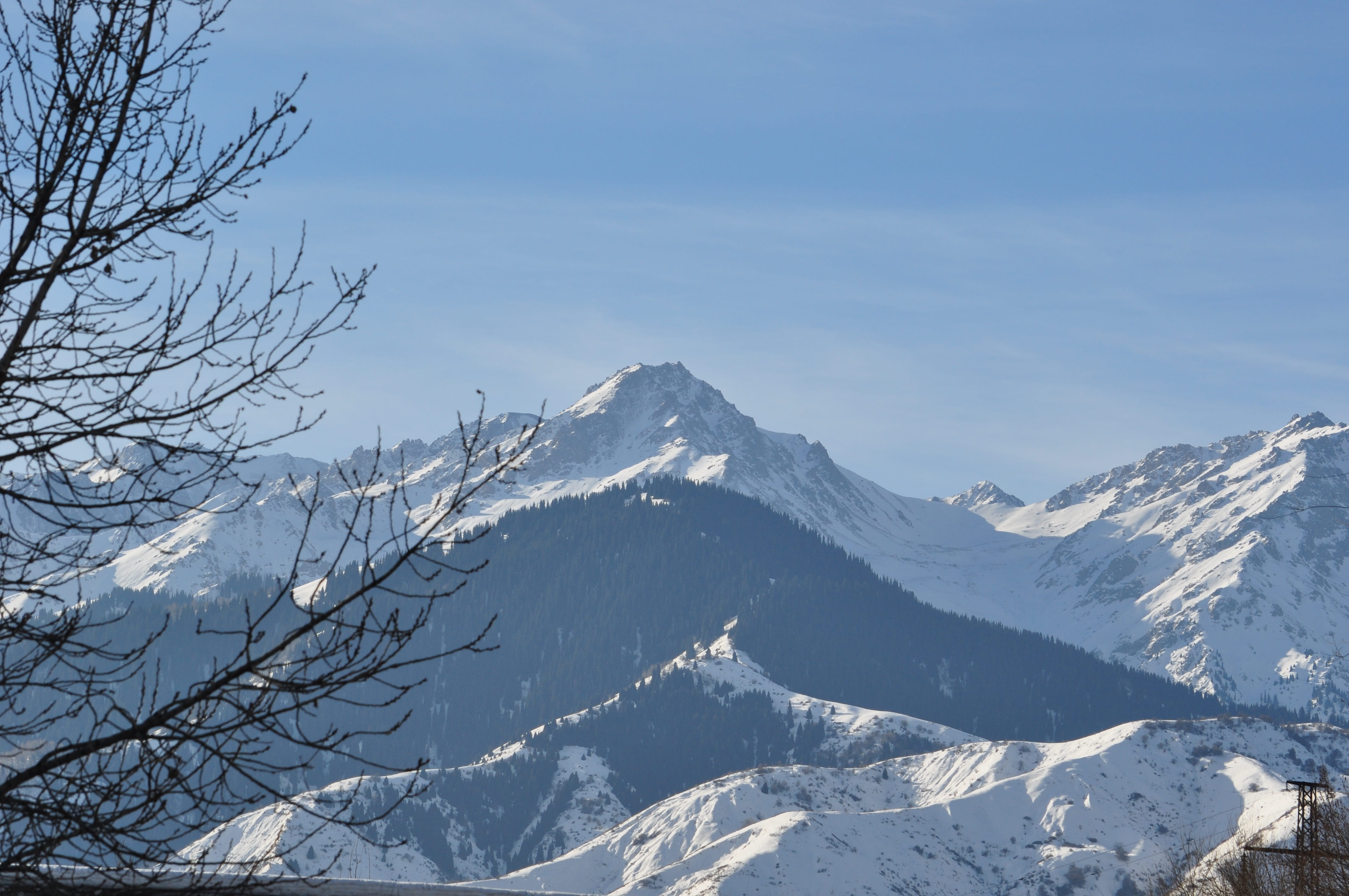 sky, day, snowcapped mountain, bare tree, Winter, tranquility, tranquil scene, non-urban scene, Alma-Ata, beauty in nature, nature, outdoors, mountain peak, HD Wallpaper